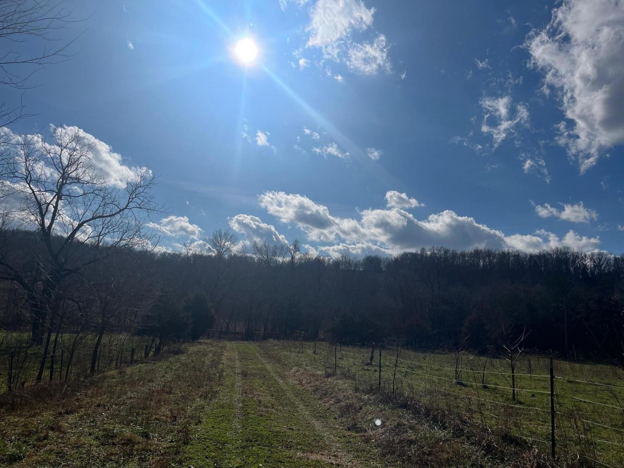 Photo 8 - Land for sale – 615  Thomas Hollow Road  Rocky Comfort, MO