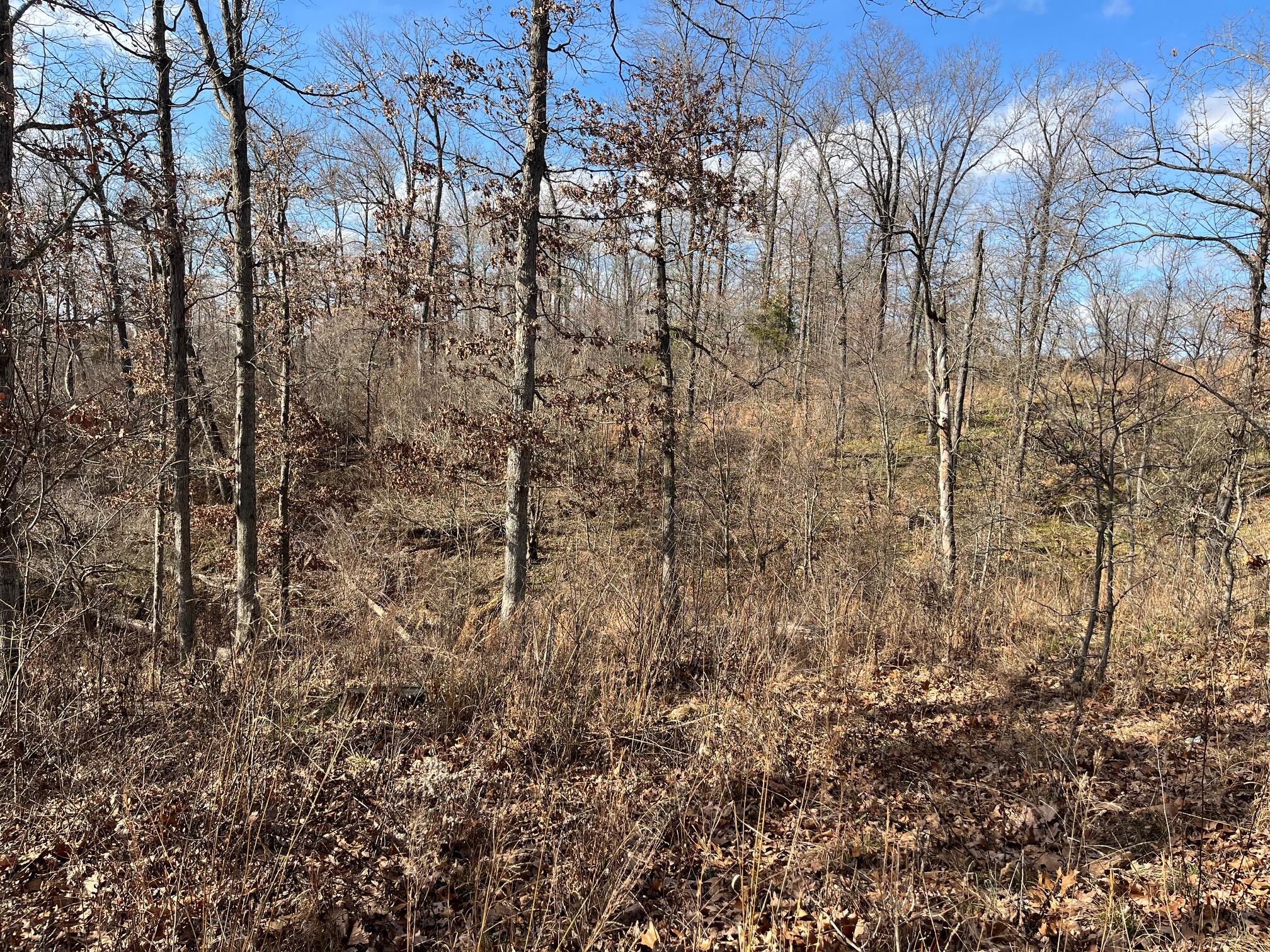 Photo 24 - Land for sale – 615  Thomas Hollow Road  Rocky Comfort, MO