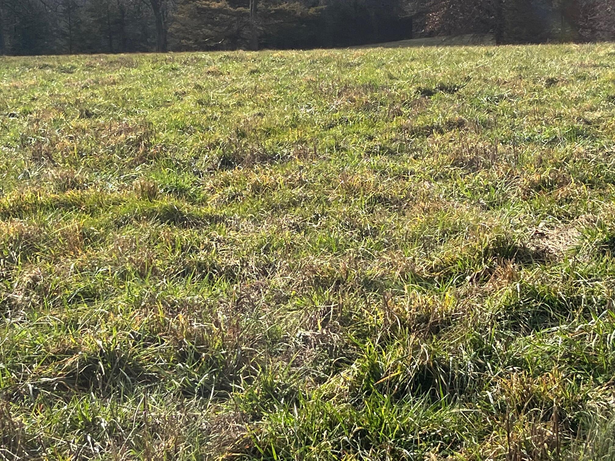 Photo 63 - Land for sale – 615  Thomas Hollow Road  Rocky Comfort, MO