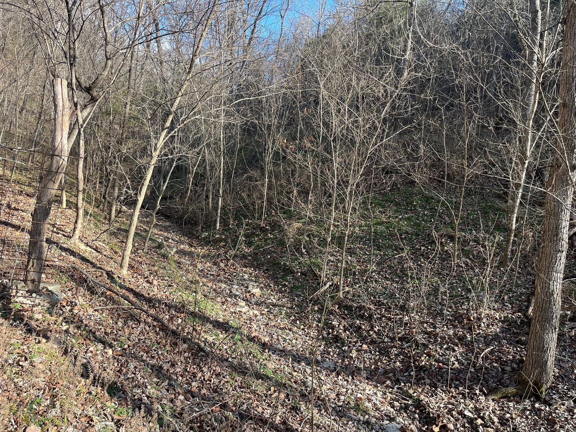 Photo 77 - Land for sale – 615  Thomas Hollow Road  Rocky Comfort, MO