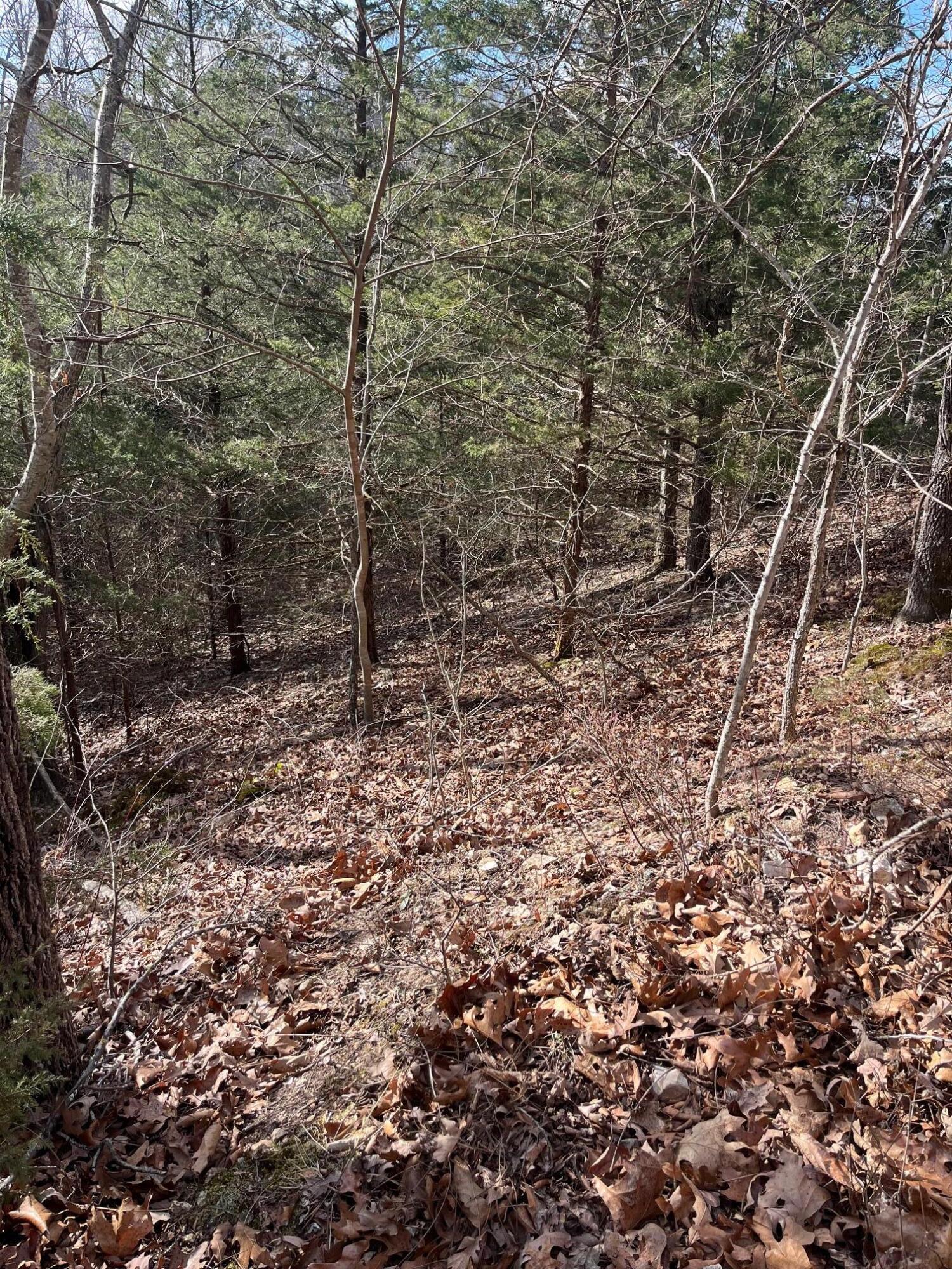 Photo 22 - Land for sale – 615  Thomas Hollow Road  Rocky Comfort, MO