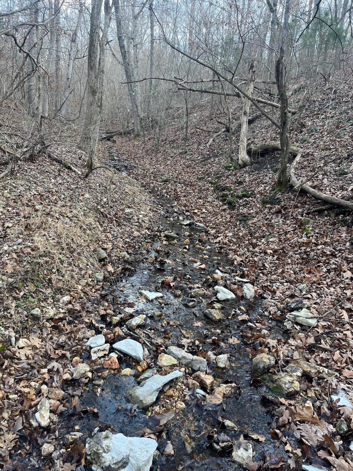 Photo 48 - Land for sale – 615  Thomas Hollow Road  Rocky Comfort, MO