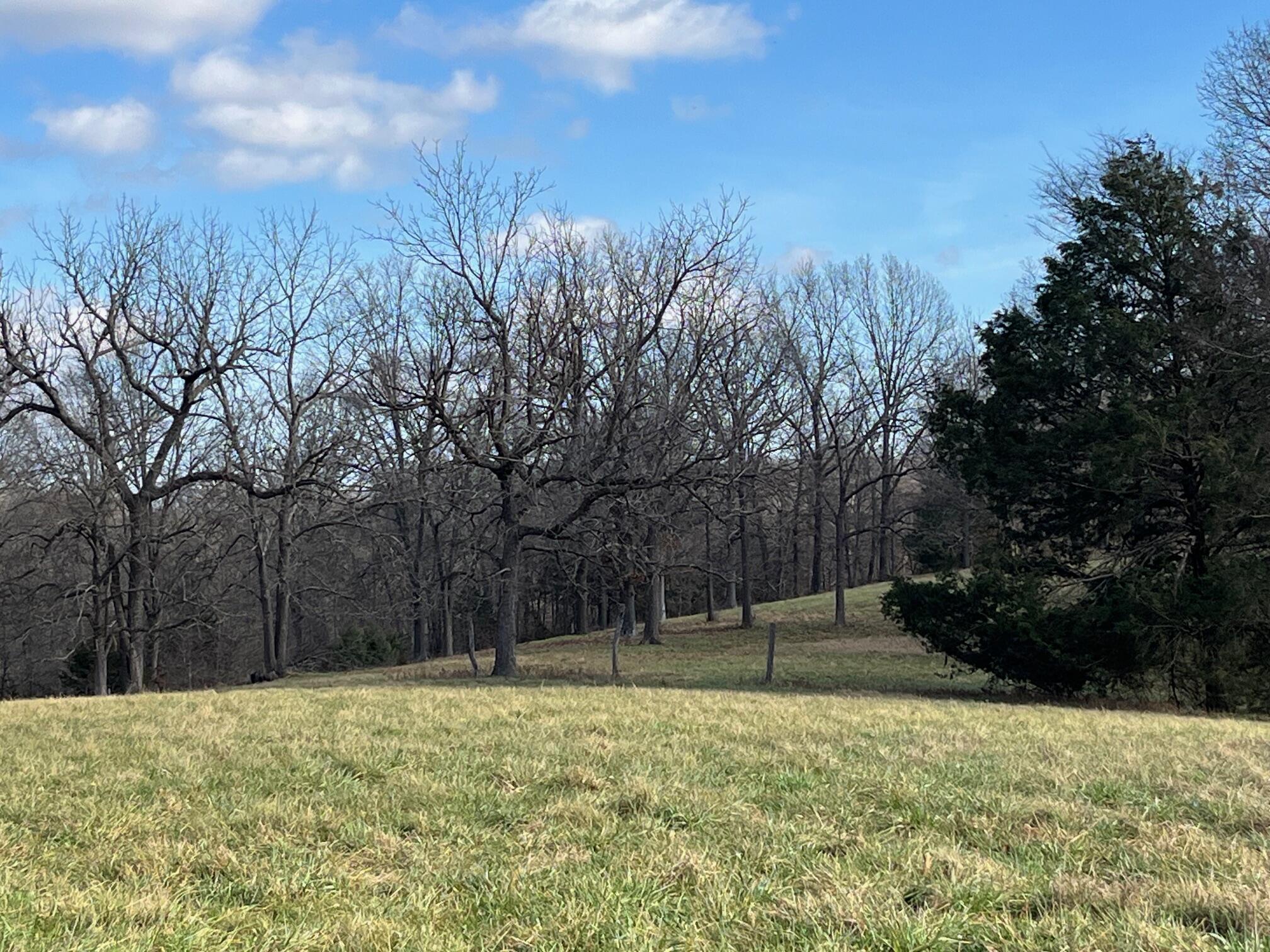 Photo 65 - Land for sale – 615  Thomas Hollow Road  Rocky Comfort, MO