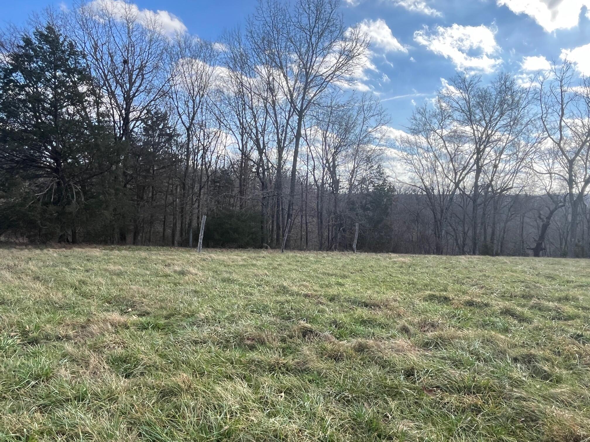 Photo 68 - Land for sale – 615  Thomas Hollow Road  Rocky Comfort, MO