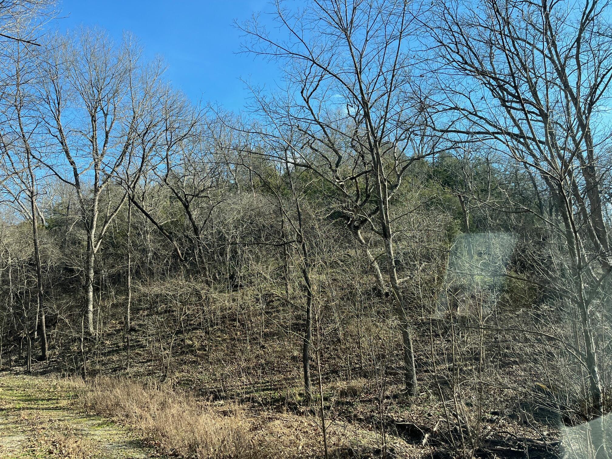 Photo 15 - Land for sale – 615  Thomas Hollow Road  Rocky Comfort, MO