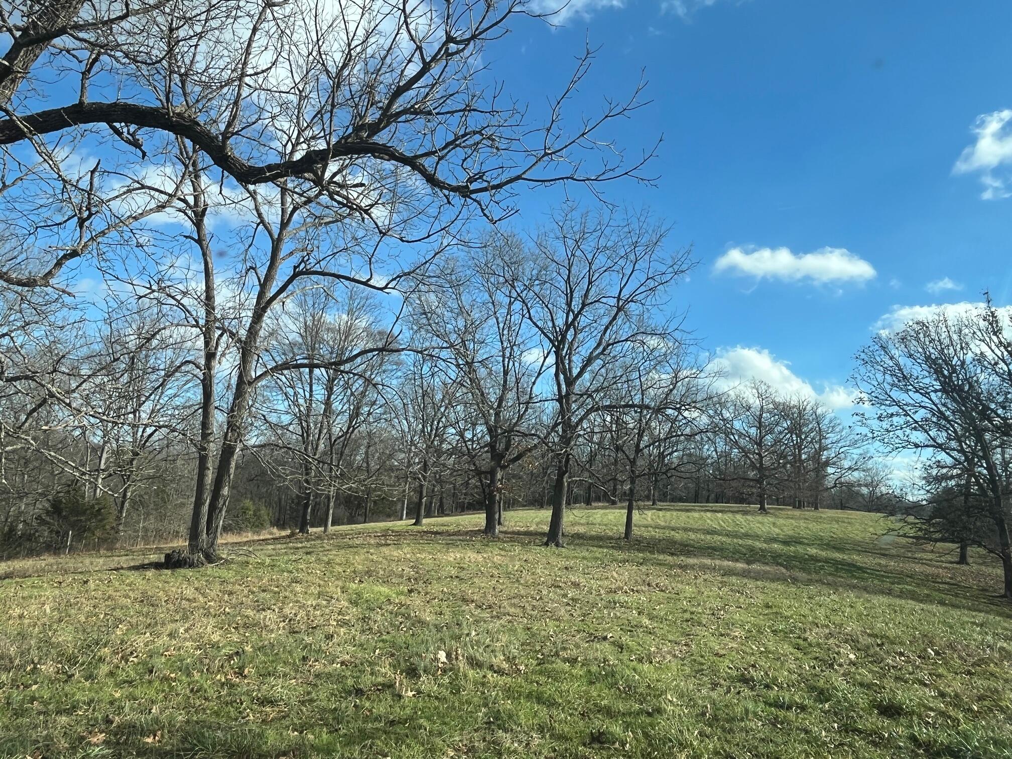 Photo 71 - Land for sale – 615  Thomas Hollow Road  Rocky Comfort, MO