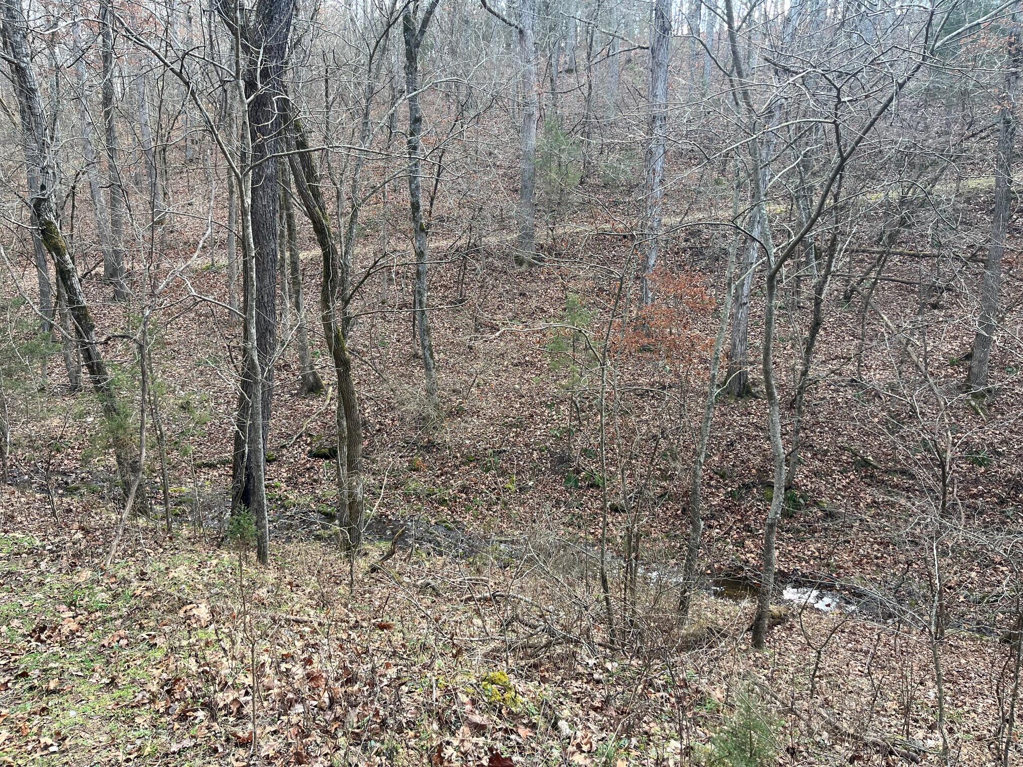 Photo 76 - Land for sale – 615  Thomas Hollow Road  Rocky Comfort, MO