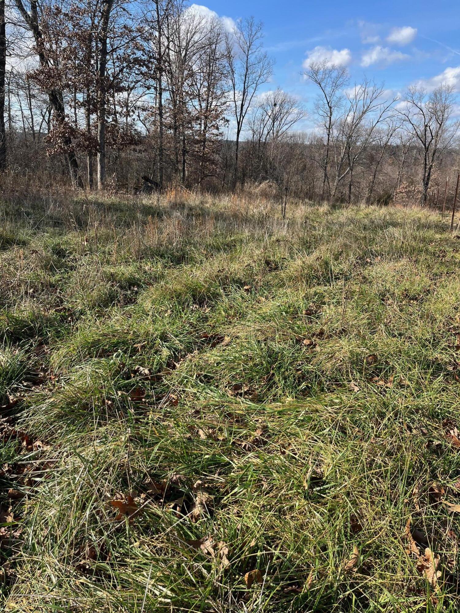 Photo 26 - Land for sale – 615  Thomas Hollow Road  Rocky Comfort, MO