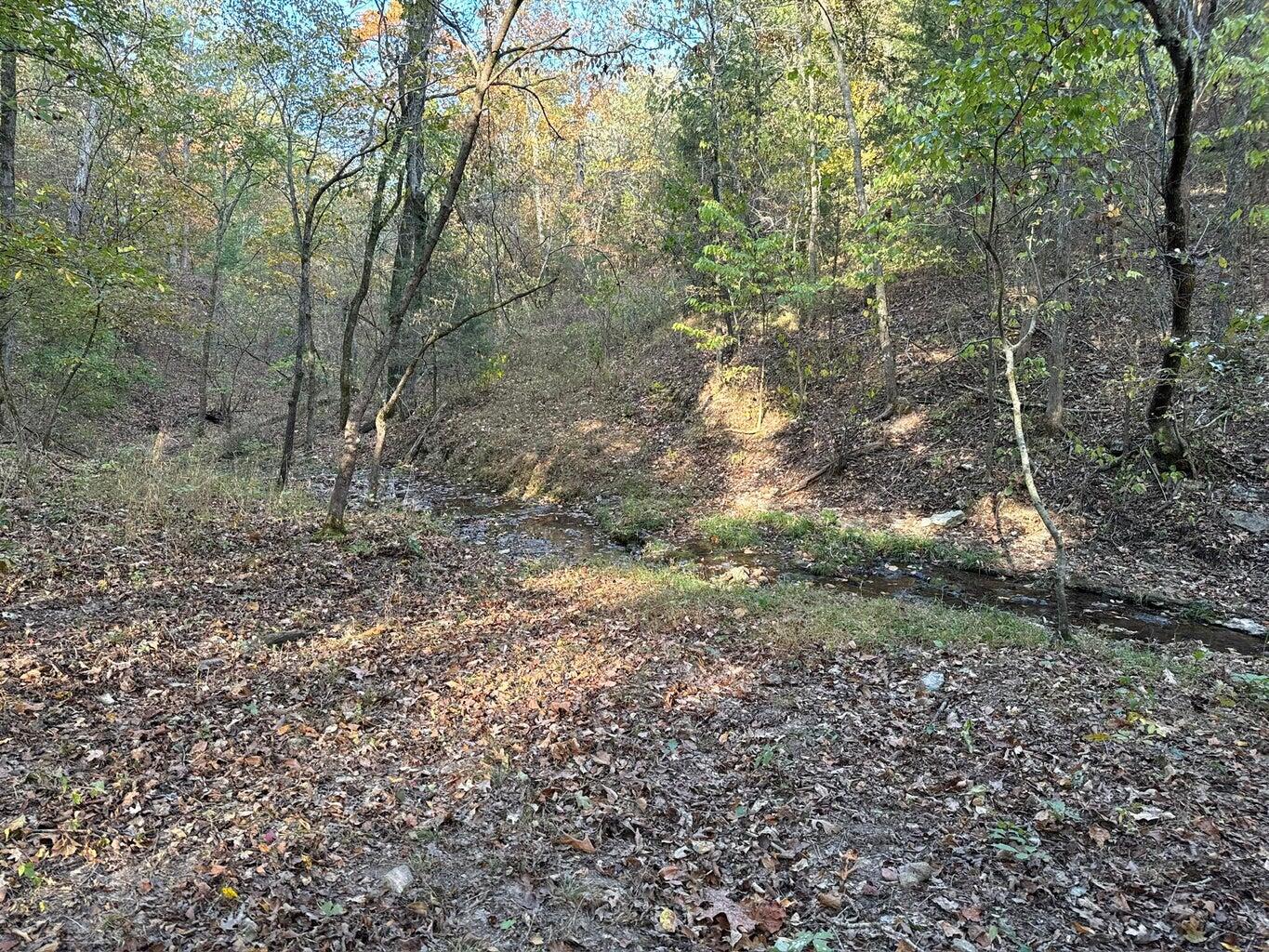 Photo 9 - Land for sale – 615  Thomas Hollow Road  Rocky Comfort, MO