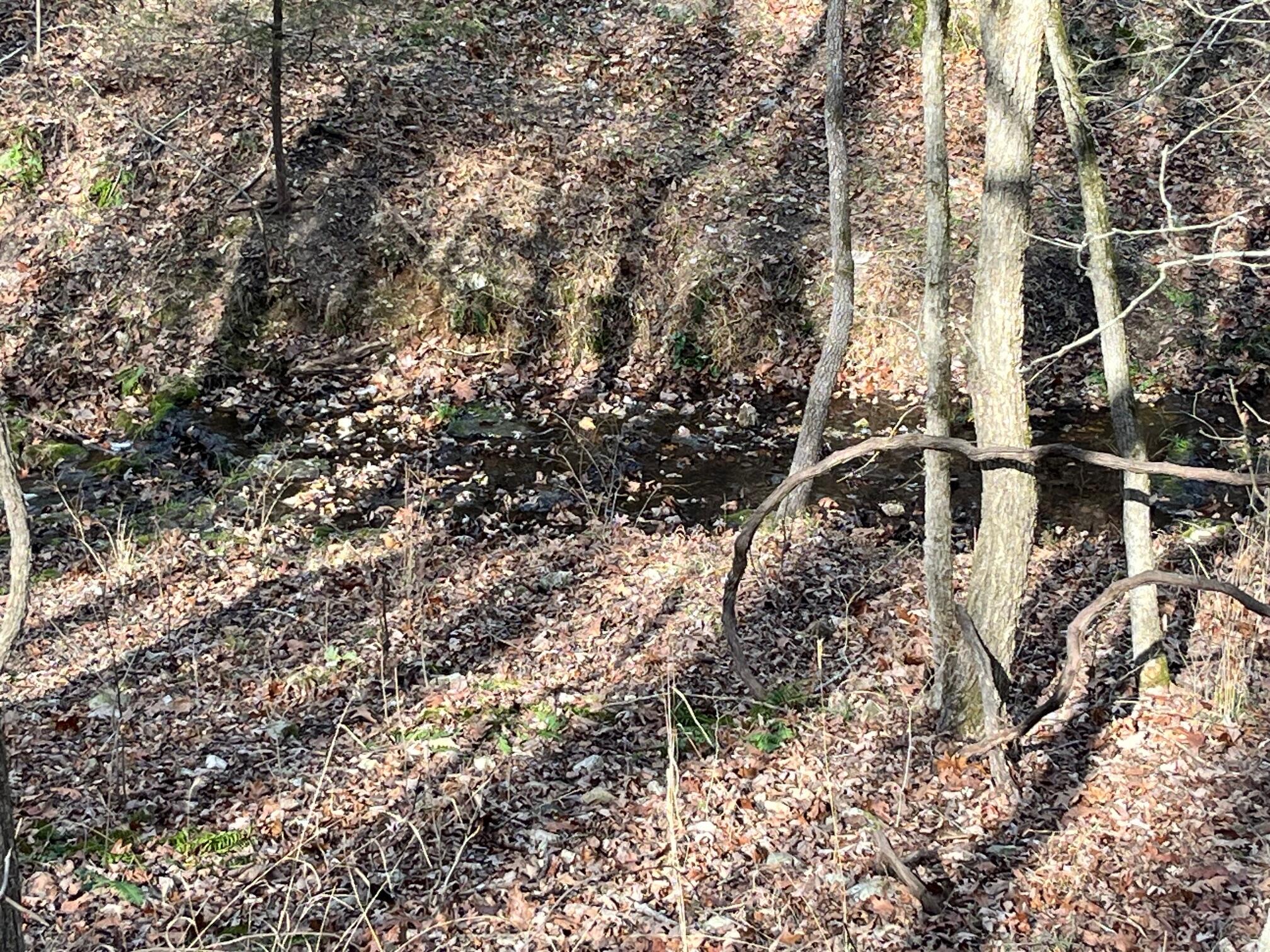Photo 30 - Land for sale – 615  Thomas Hollow Road  Rocky Comfort, MO
