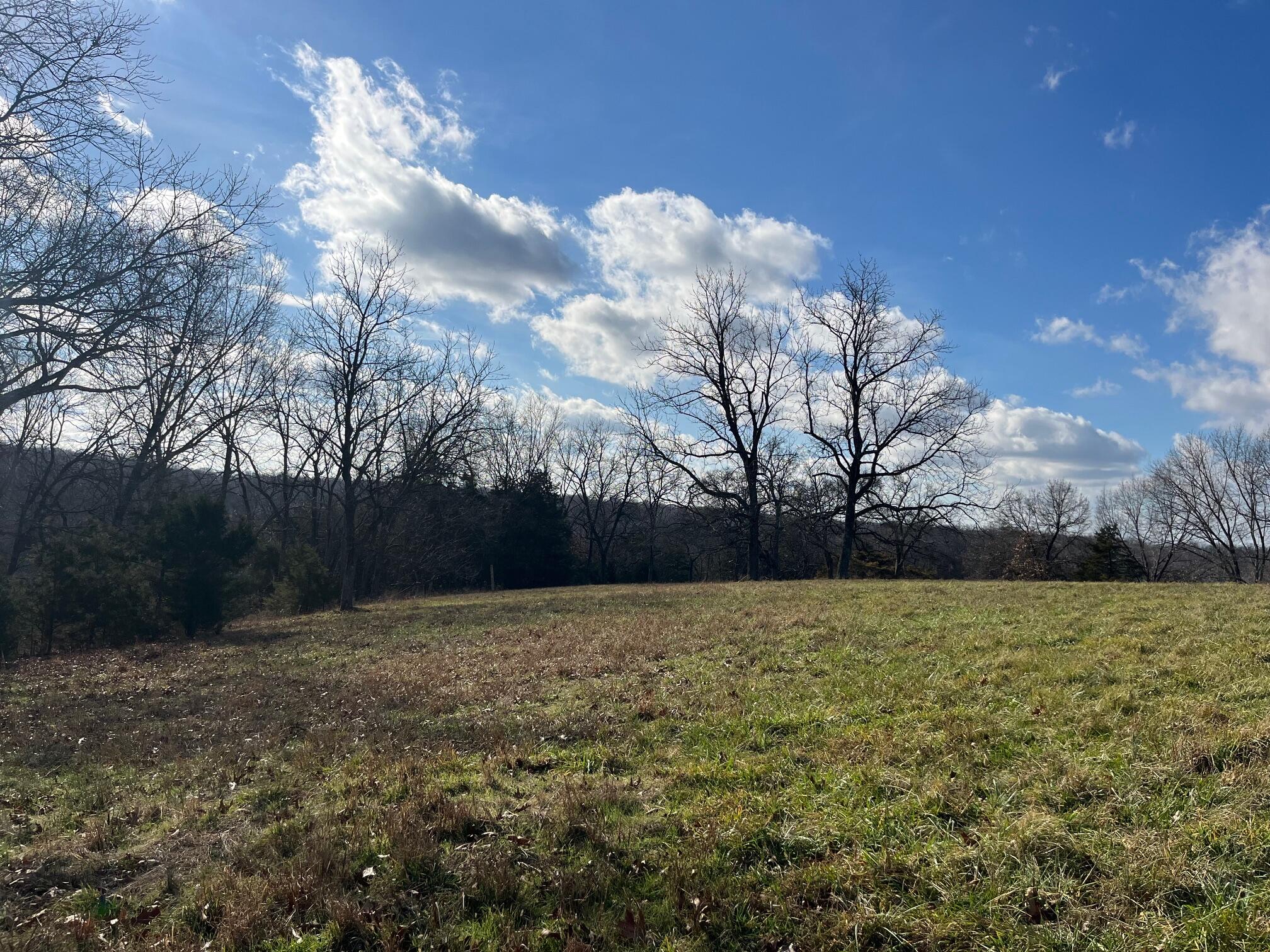 Photo 53 - Land for sale – 615  Thomas Hollow Road  Rocky Comfort, MO