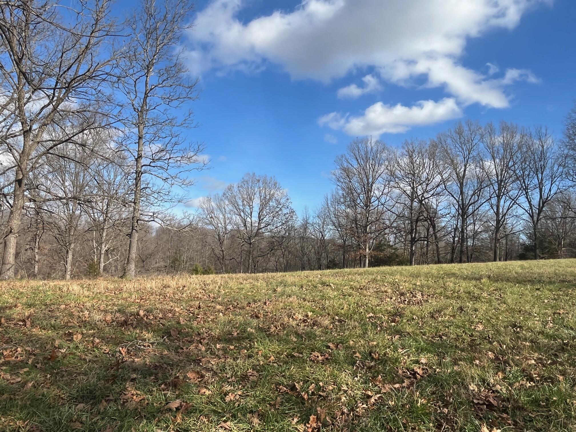 Photo 72 - Land for sale – 615  Thomas Hollow Road  Rocky Comfort, MO