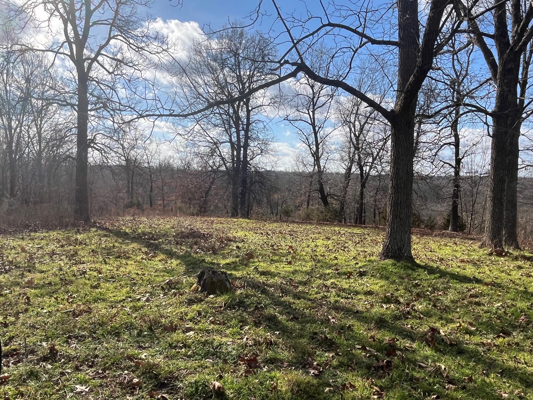 Photo 17 - Land for sale – 615  Thomas Hollow Road  Rocky Comfort, MO