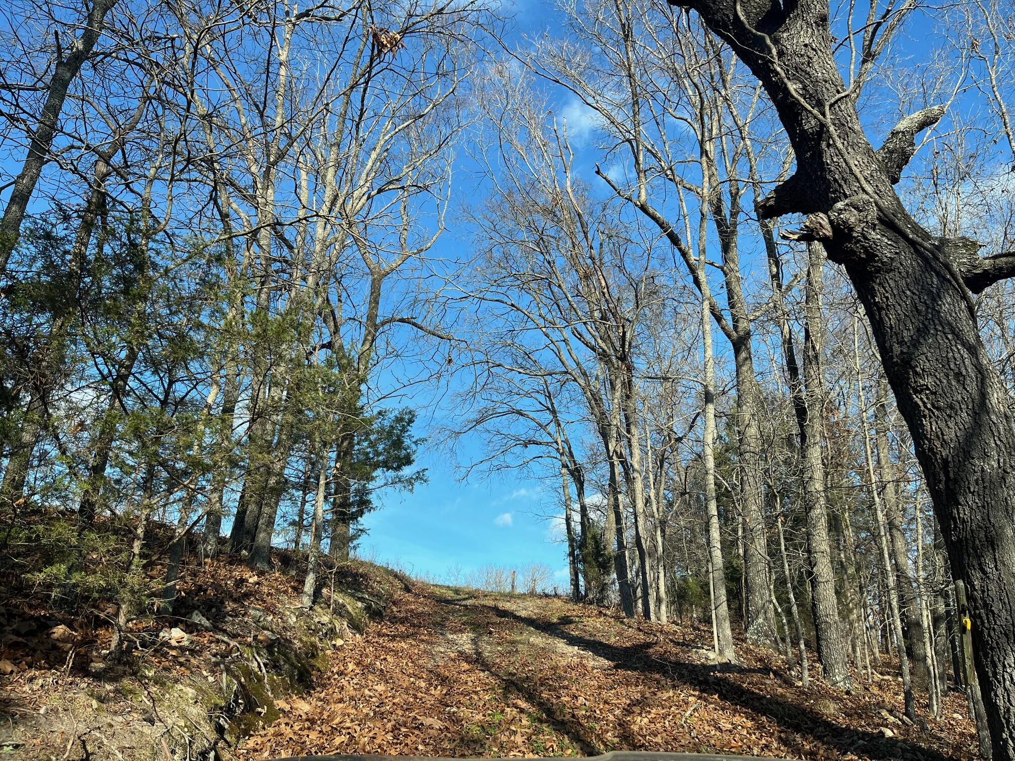 Photo 46 - Land for sale – 615  Thomas Hollow Road  Rocky Comfort, MO