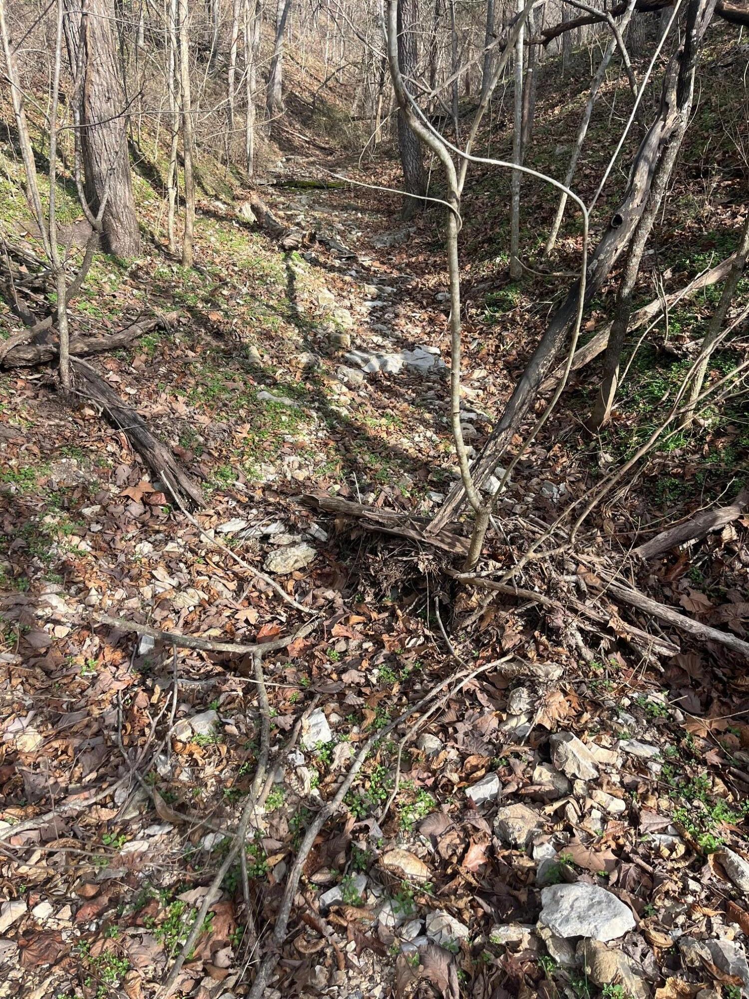 Photo 32 - Land for sale – 615  Thomas Hollow Road  Rocky Comfort, MO