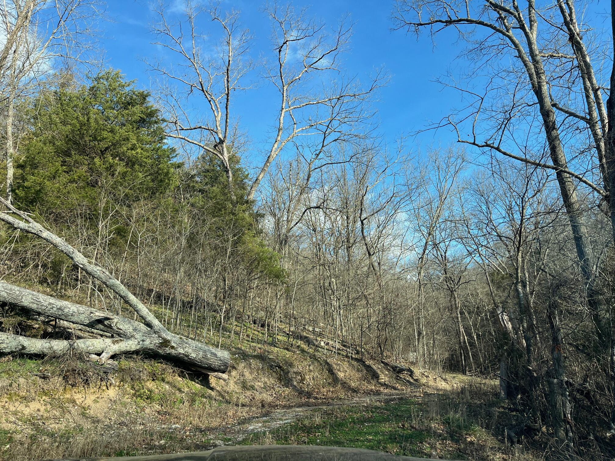 Photo 50 - Land for sale – 615  Thomas Hollow Road  Rocky Comfort, MO