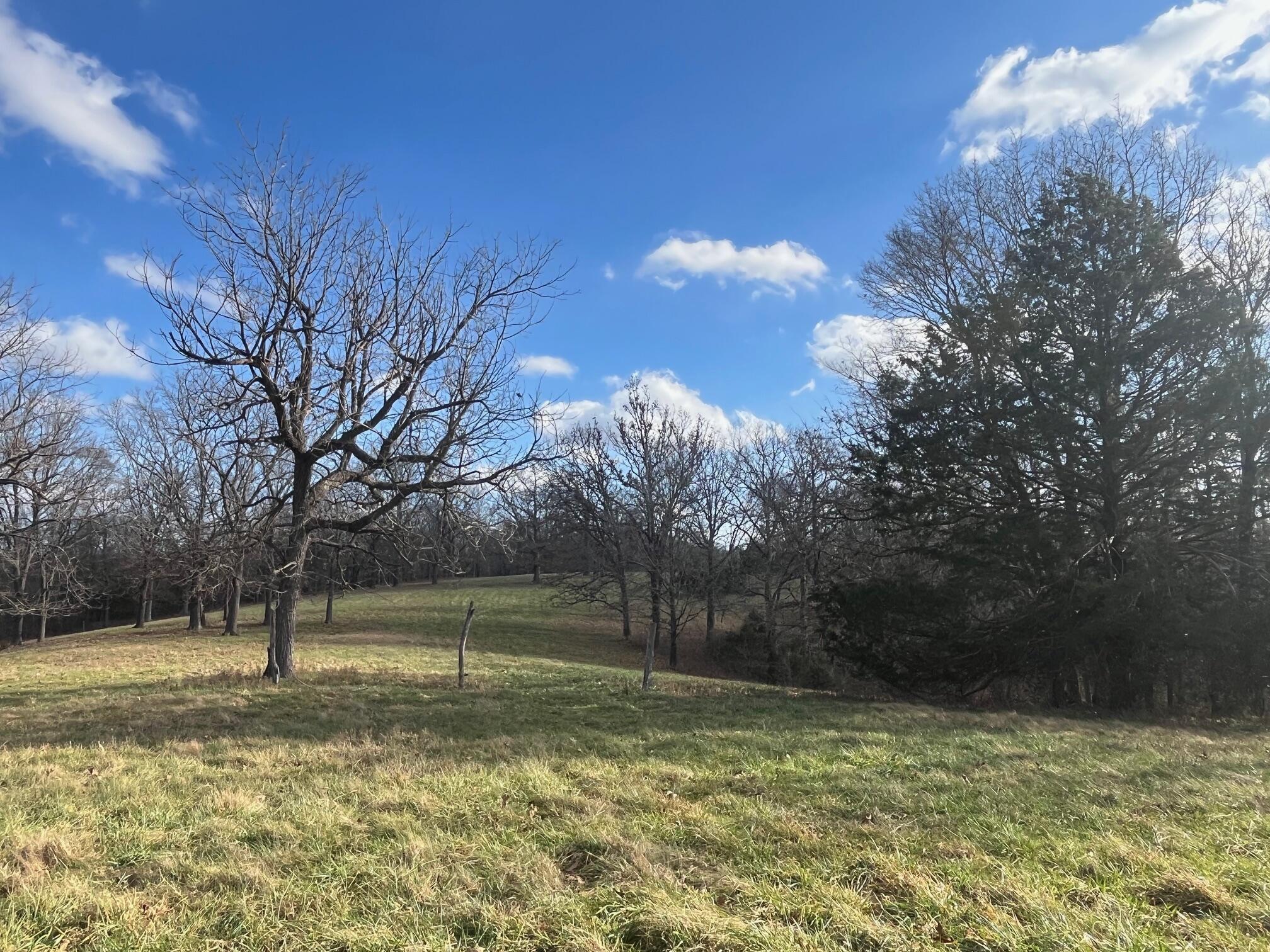 Photo 69 - Land for sale – 615  Thomas Hollow Road  Rocky Comfort, MO