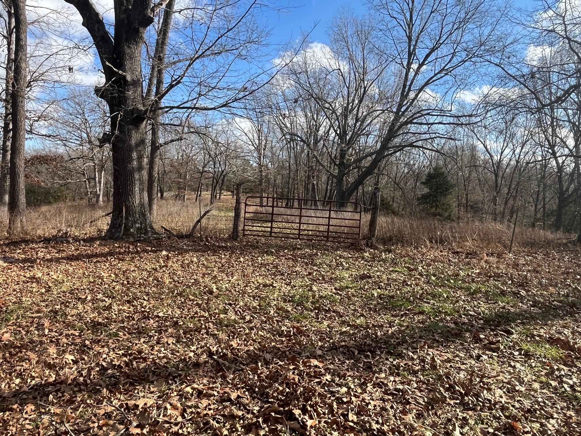Photo 38 - Land for sale – 615  Thomas Hollow Road  Rocky Comfort, MO
