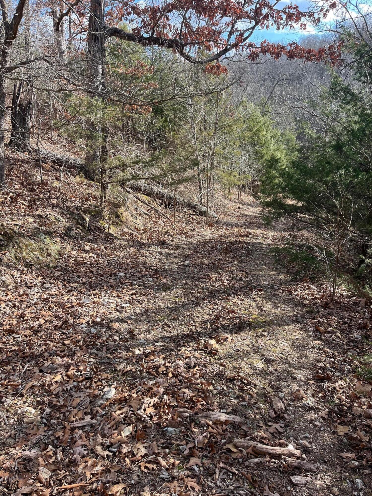 Photo 36 - Land for sale – 615  Thomas Hollow Road  Rocky Comfort, MO