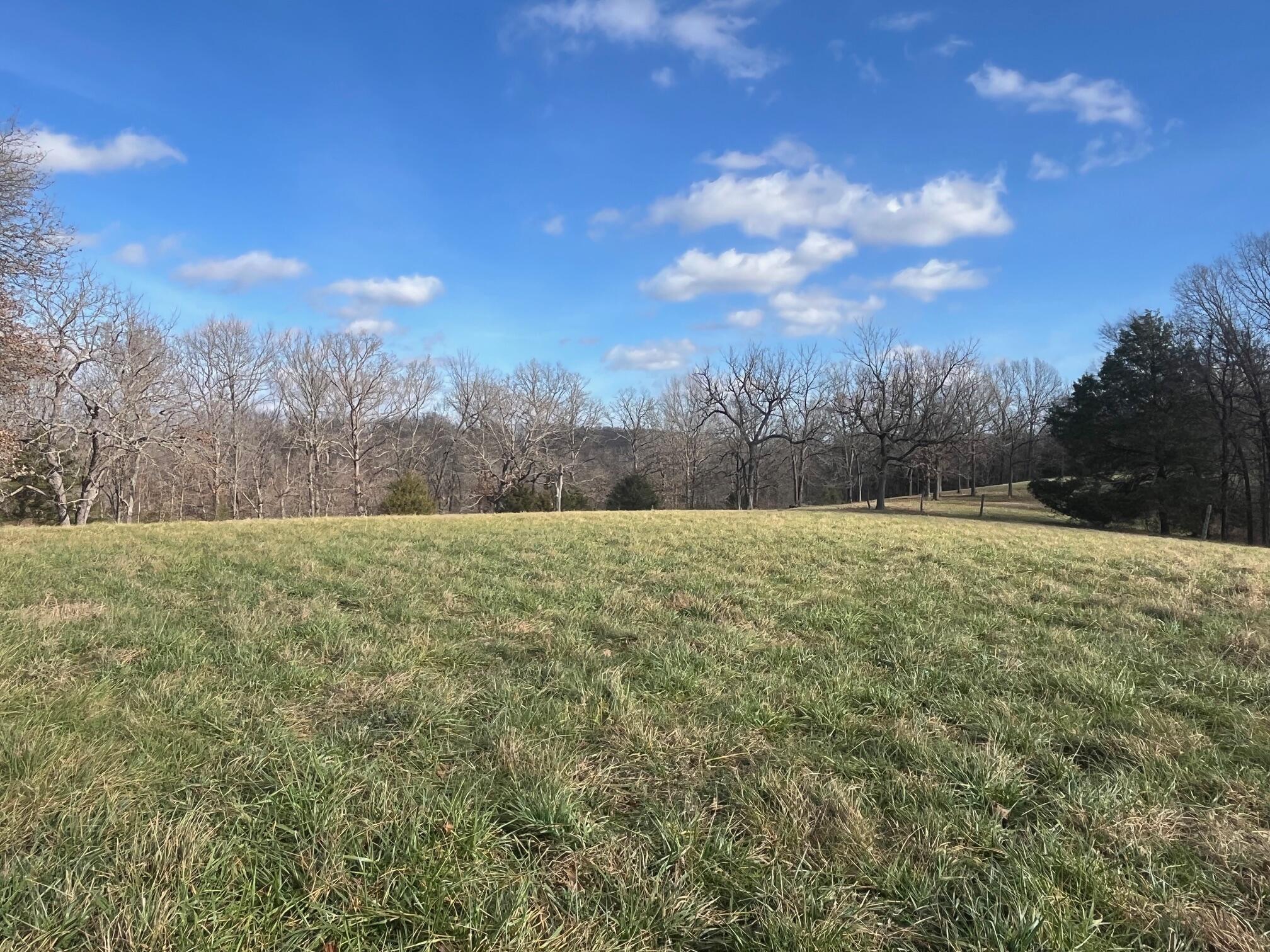 Photo 66 - Land for sale – 615  Thomas Hollow Road  Rocky Comfort, MO
