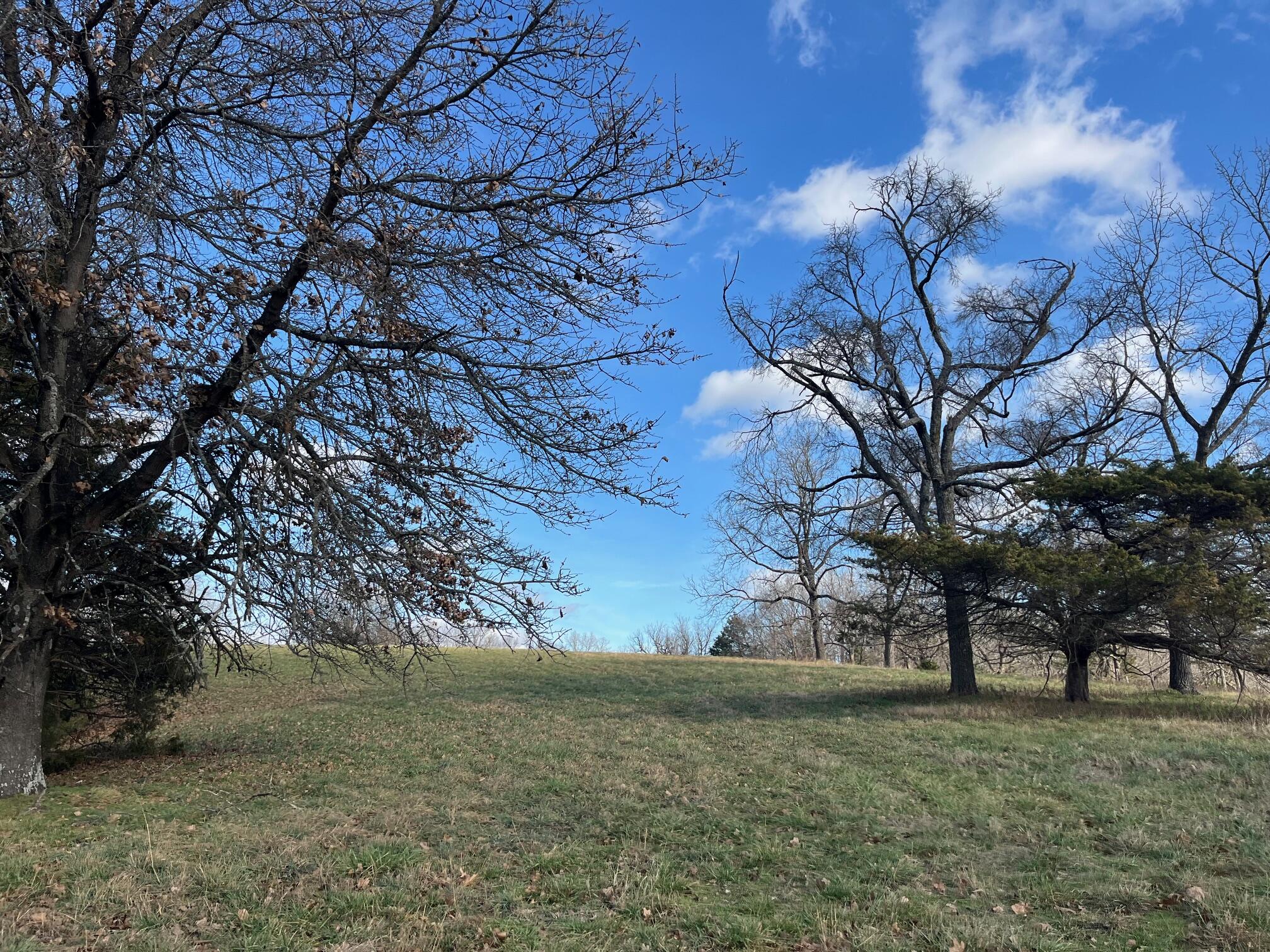 Photo 59 - Land for sale – 615  Thomas Hollow Road  Rocky Comfort, MO