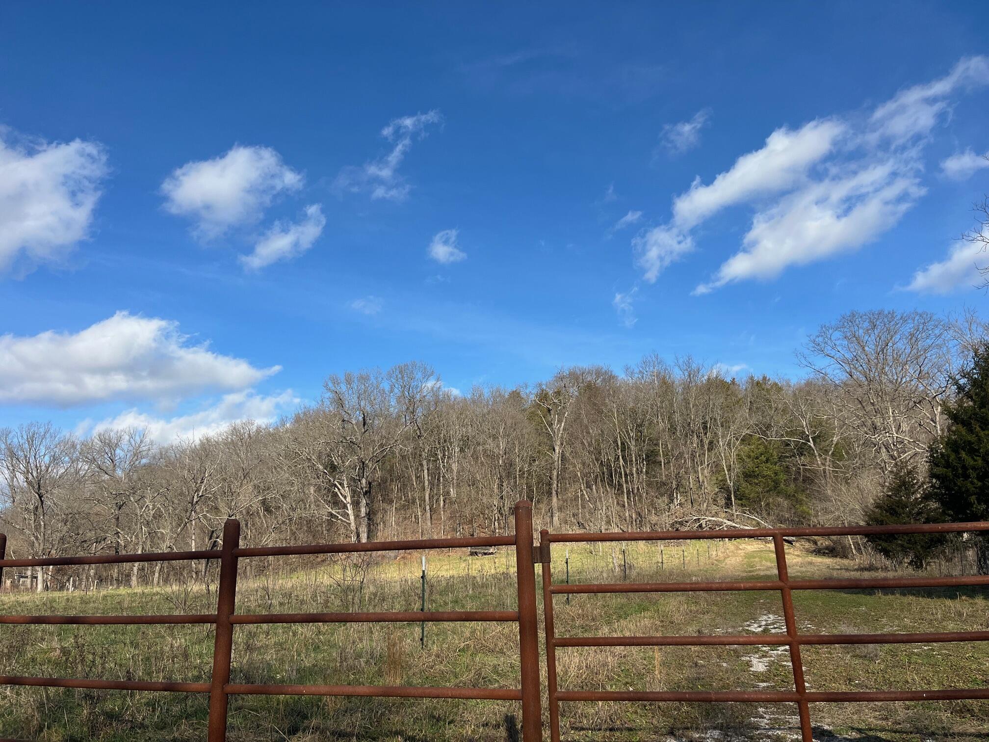 Photo 11 - Land for sale – 615  Thomas Hollow Road  Rocky Comfort, MO