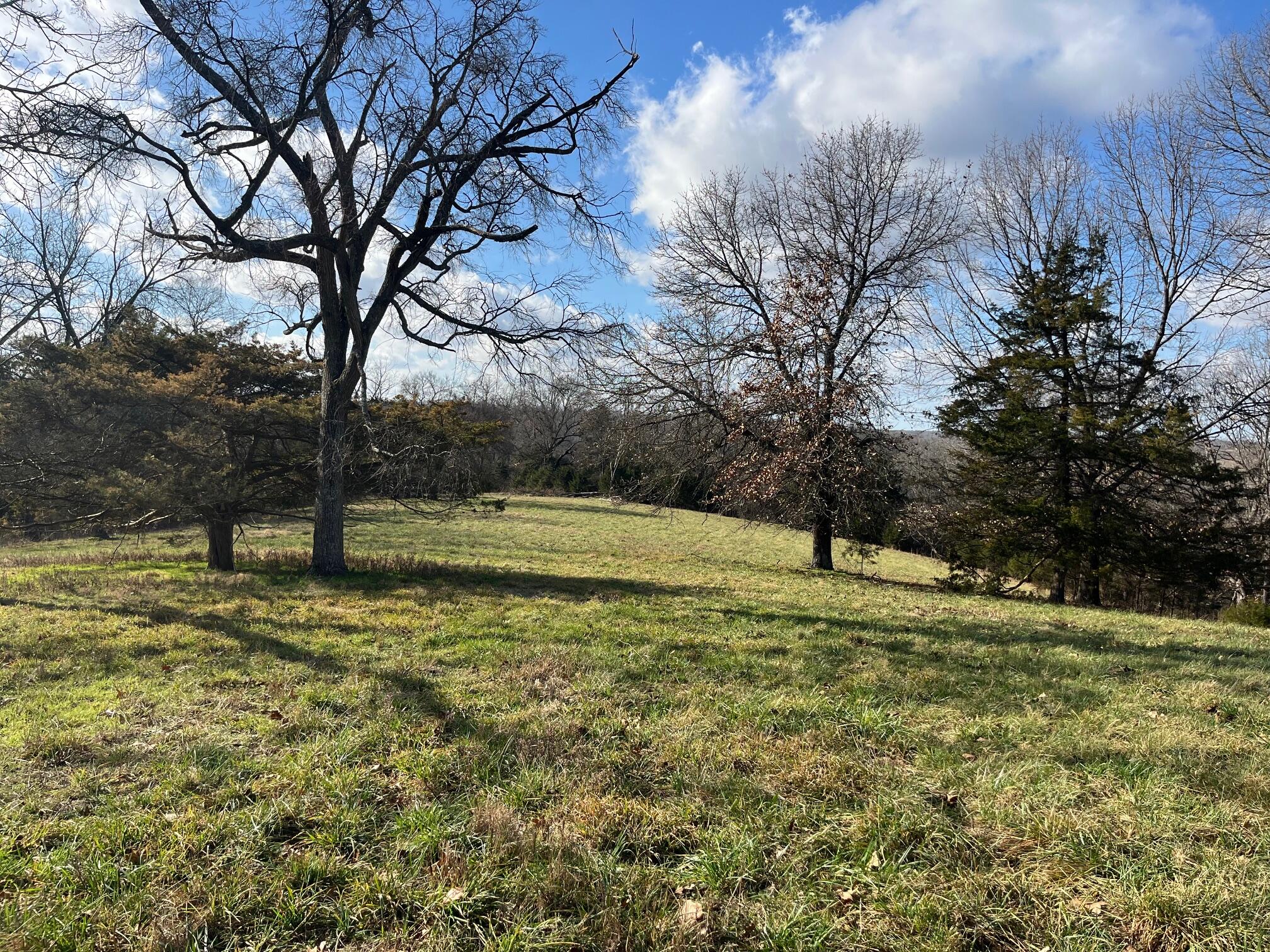 Photo 56 - Land for sale – 615  Thomas Hollow Road  Rocky Comfort, MO