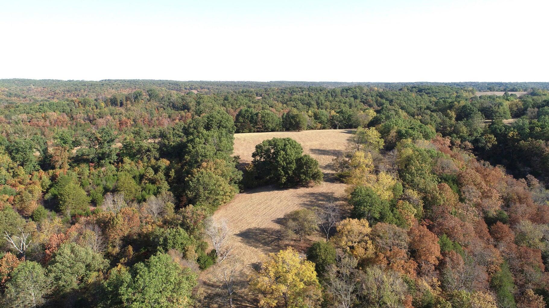 Land for sale – 615 Thomas Hollow Road Rocky Comfort, MO