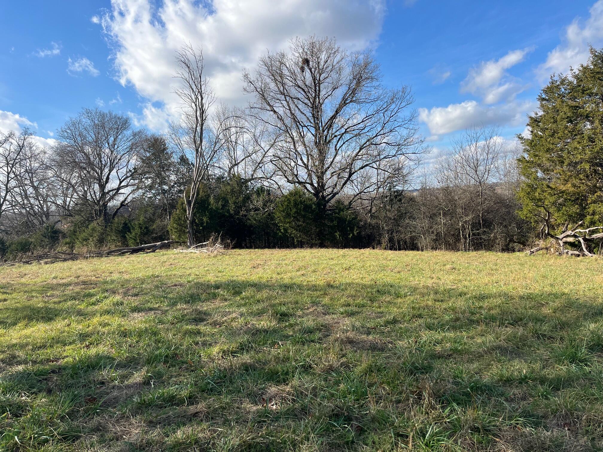 Photo 57 - Land for sale – 615  Thomas Hollow Road  Rocky Comfort, MO