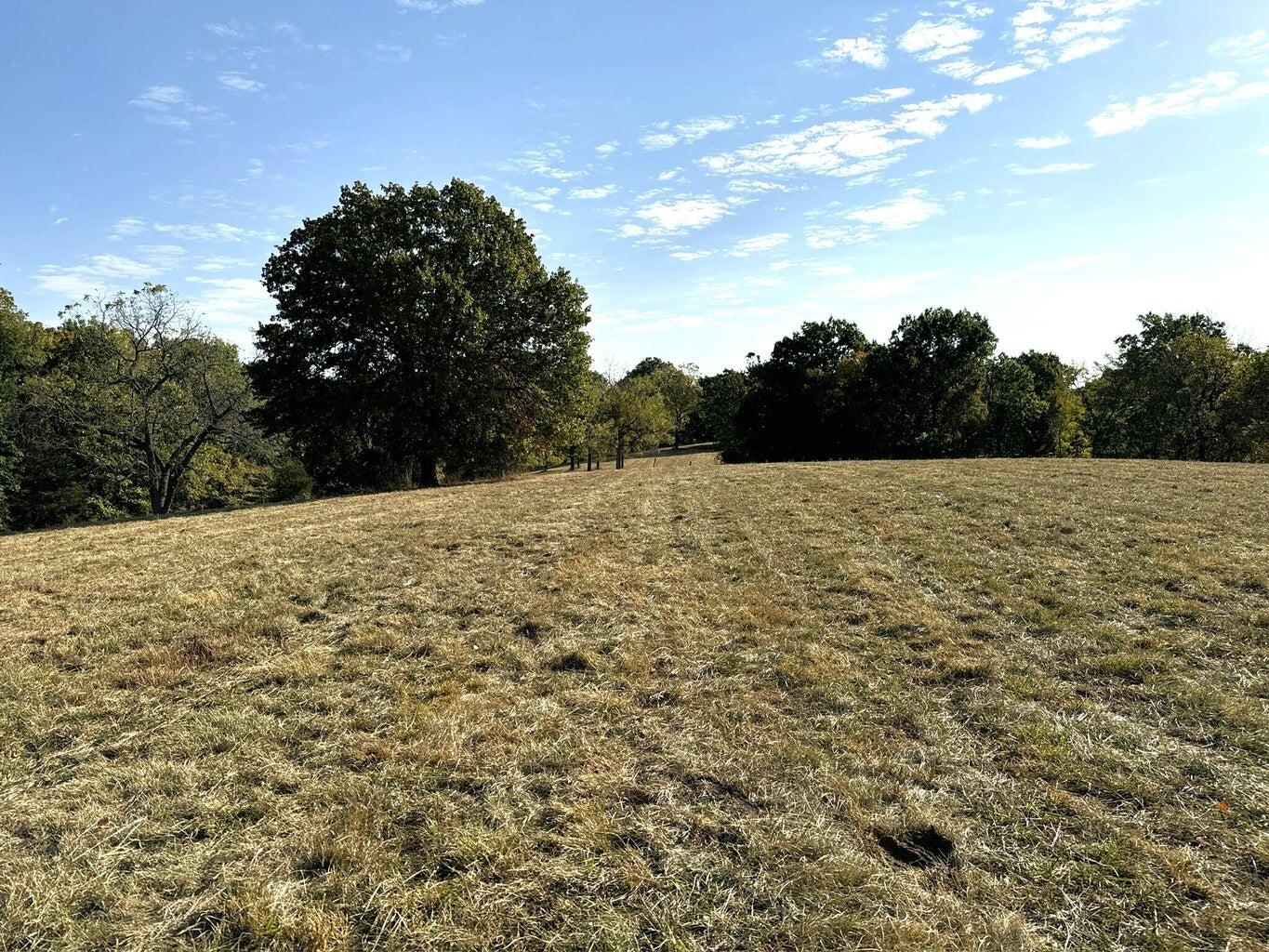 Photo 13 - Land for sale – 615  Thomas Hollow Road  Rocky Comfort, MO