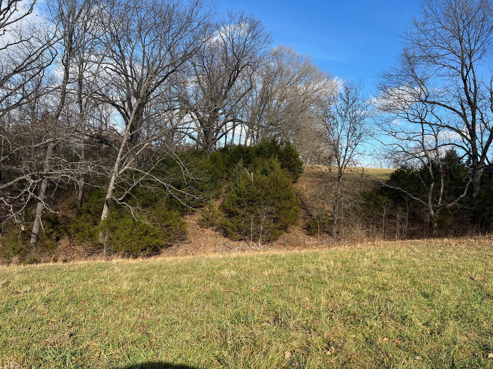 Photo 58 - Land for sale – 615  Thomas Hollow Road  Rocky Comfort, MO