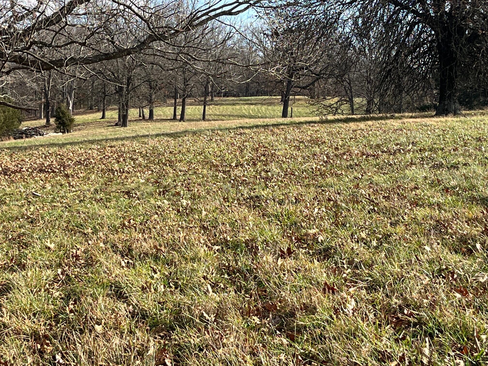 Photo 62 - Land for sale – 615  Thomas Hollow Road  Rocky Comfort, MO