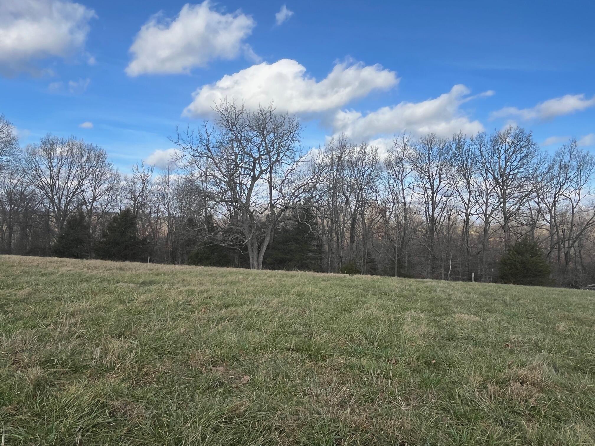 Photo 67 - Land for sale – 615  Thomas Hollow Road  Rocky Comfort, MO