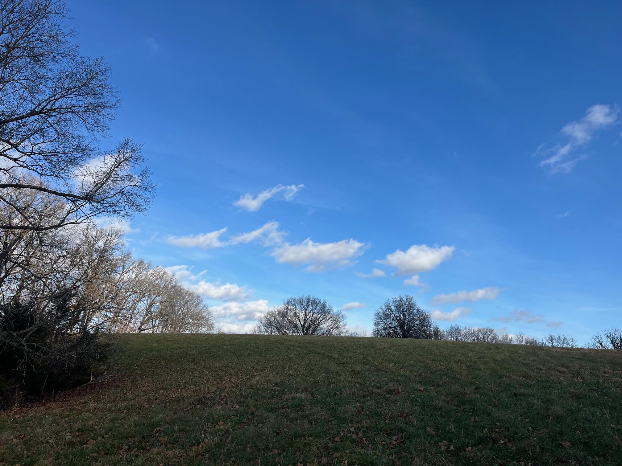 Photo 60 - Land for sale – 615  Thomas Hollow Road  Rocky Comfort, MO