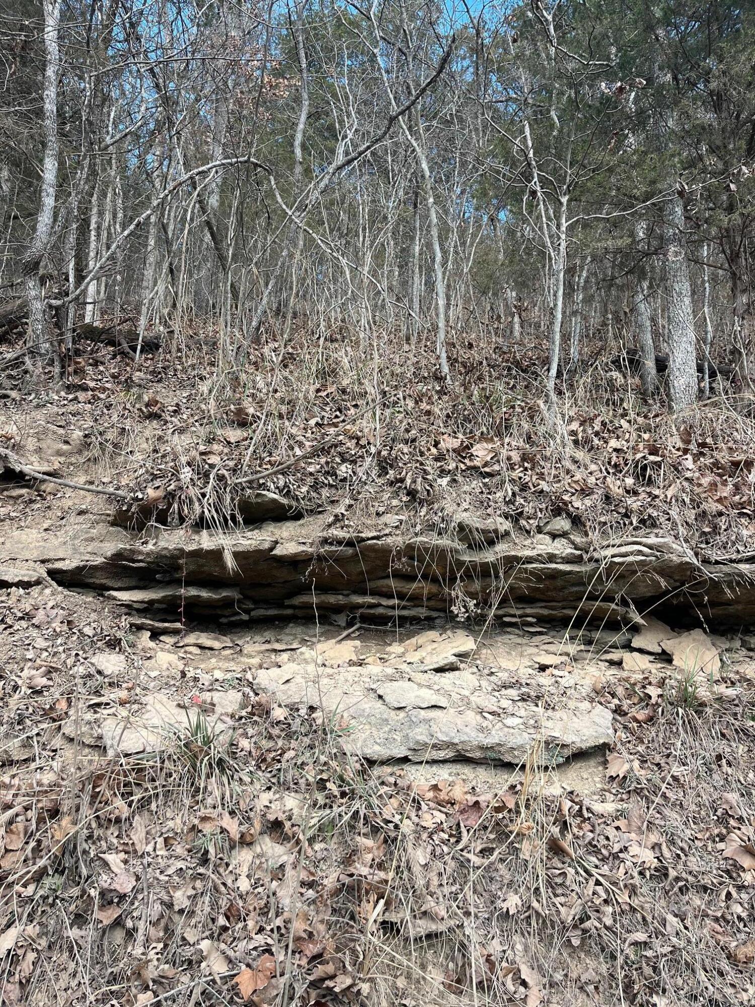 Photo 41 - Land for sale – 615  Thomas Hollow Road  Rocky Comfort, MO