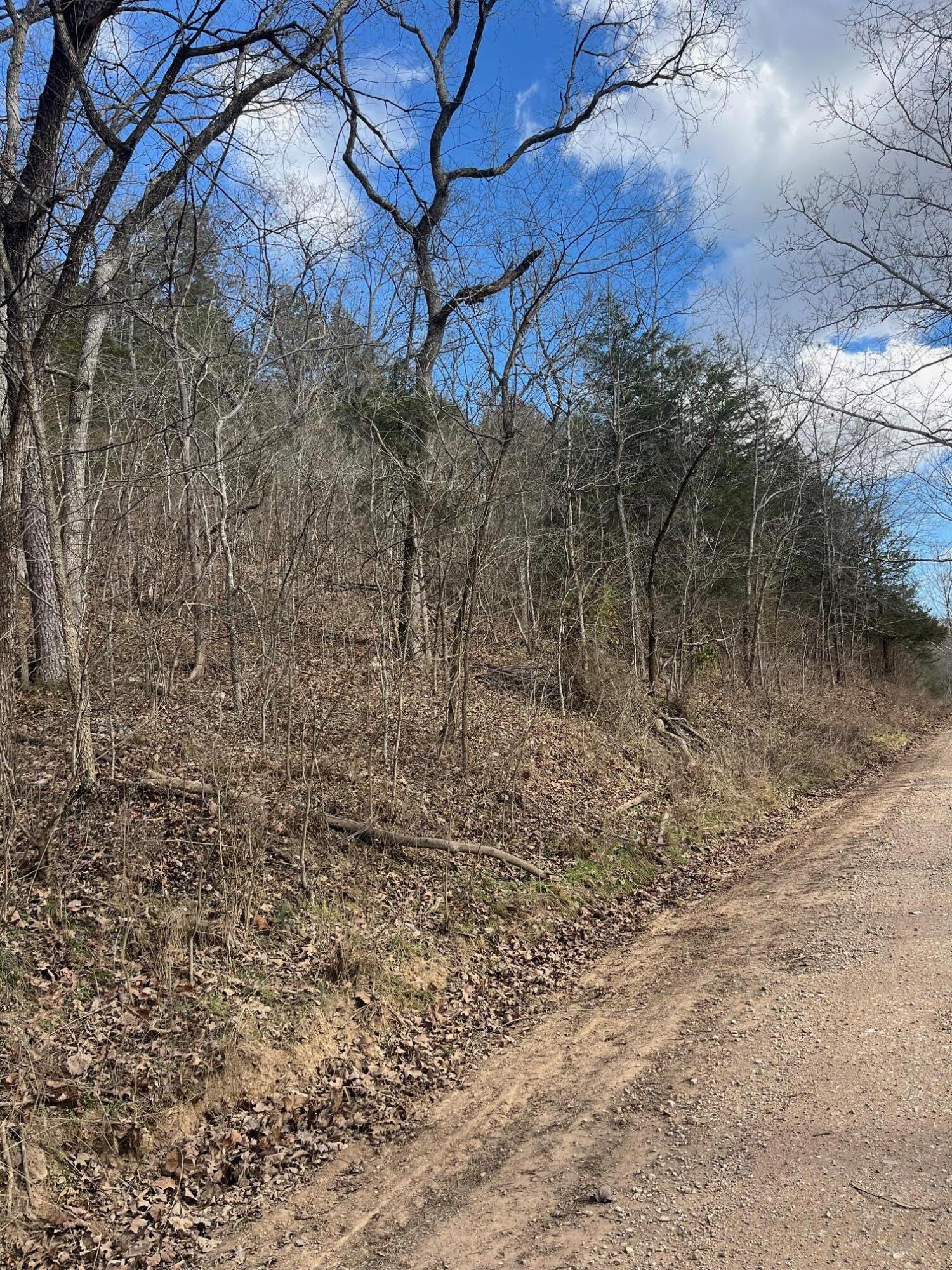 Photo 42 - Land for sale – 615  Thomas Hollow Road  Rocky Comfort, MO