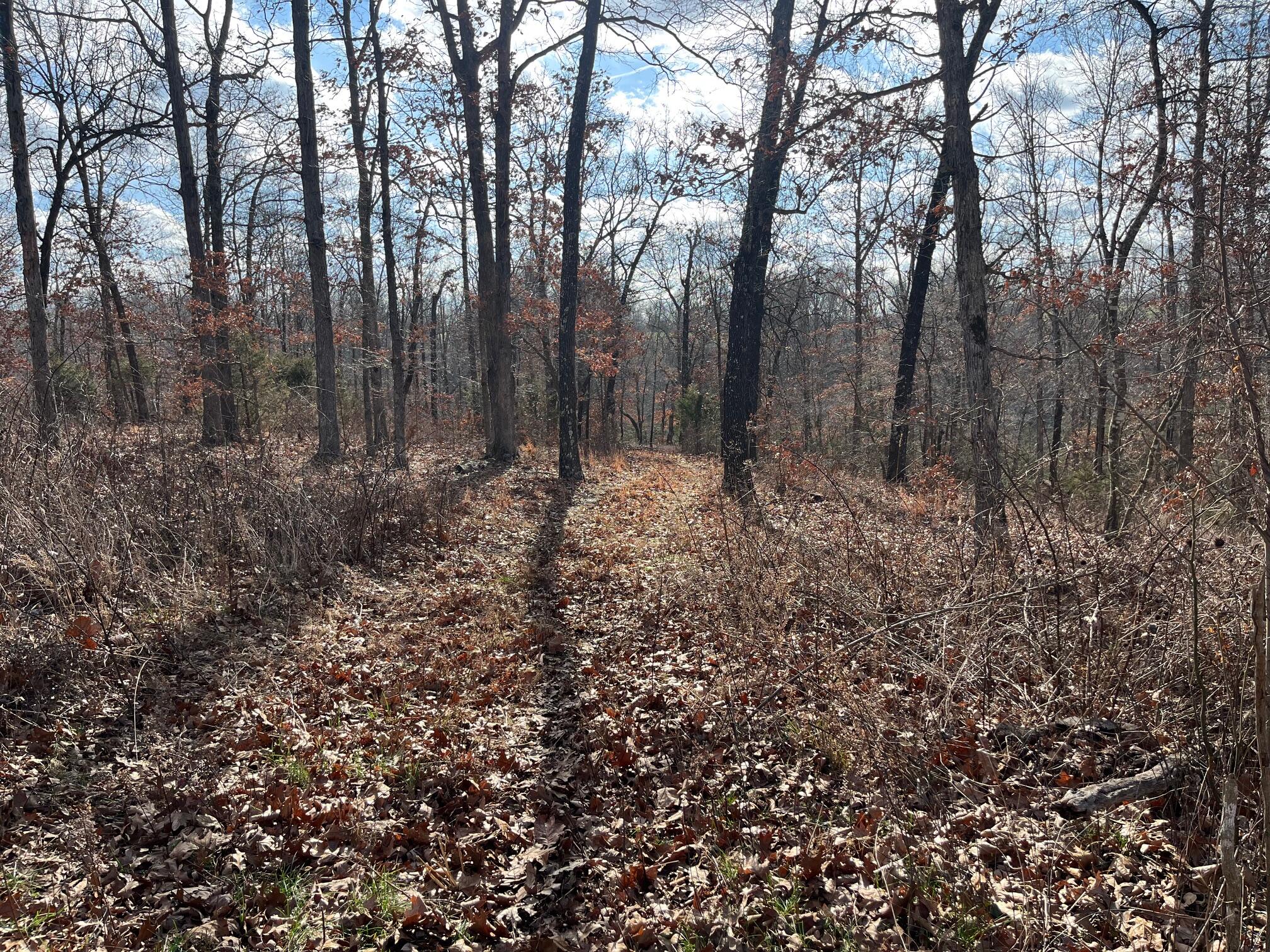 Photo 25 - Land for sale – 615  Thomas Hollow Road  Rocky Comfort, MO