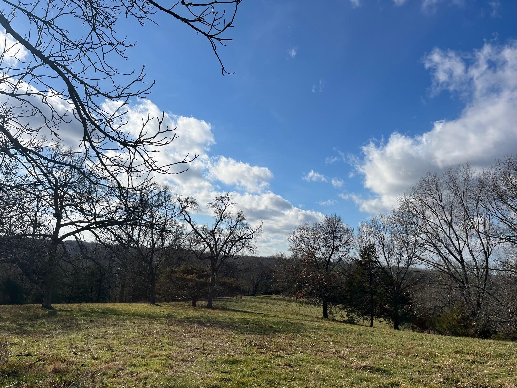 Photo 55 - Land for sale – 615  Thomas Hollow Road  Rocky Comfort, MO
