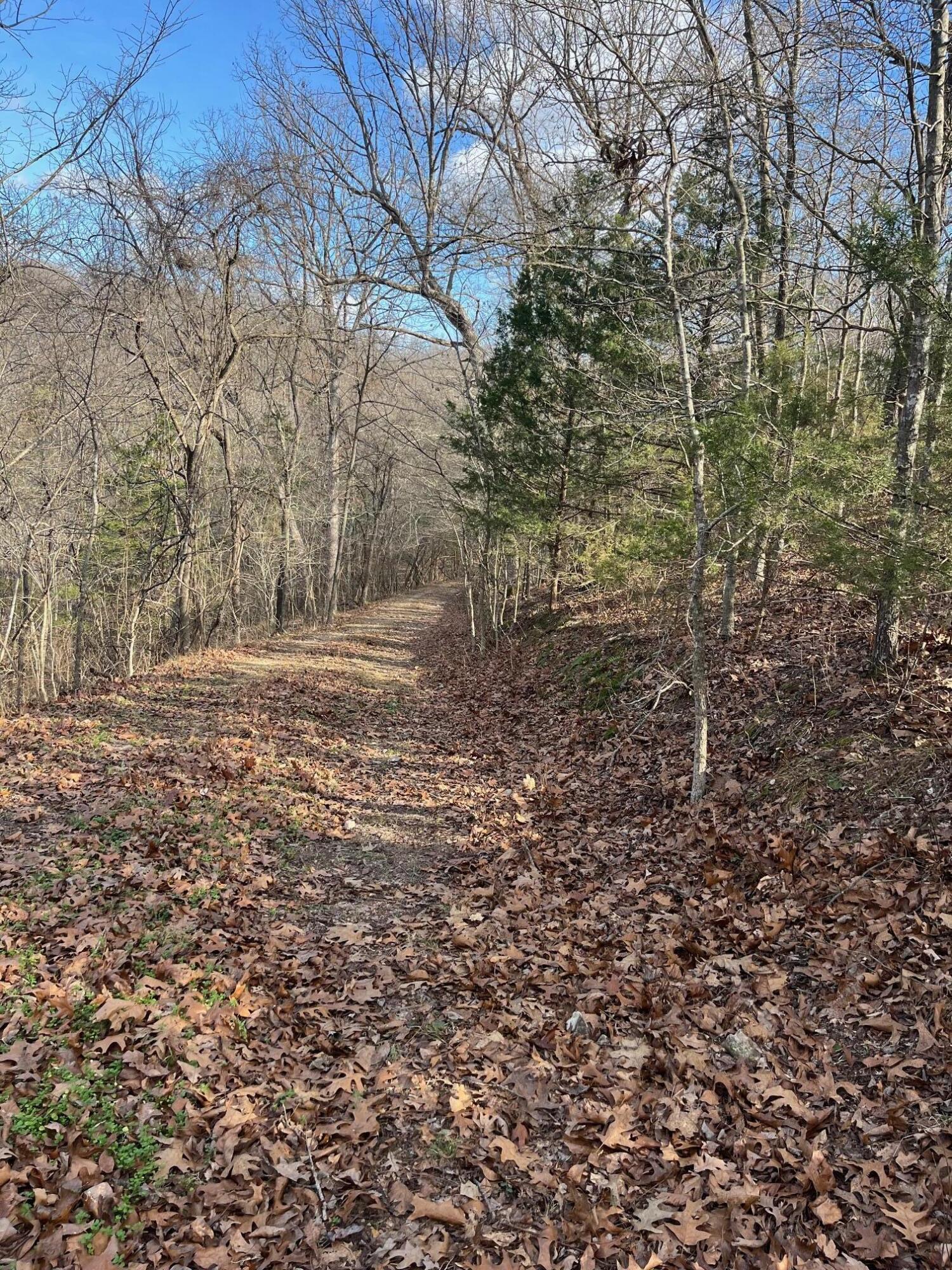 Photo 52 - Land for sale – 615  Thomas Hollow Road  Rocky Comfort, MO