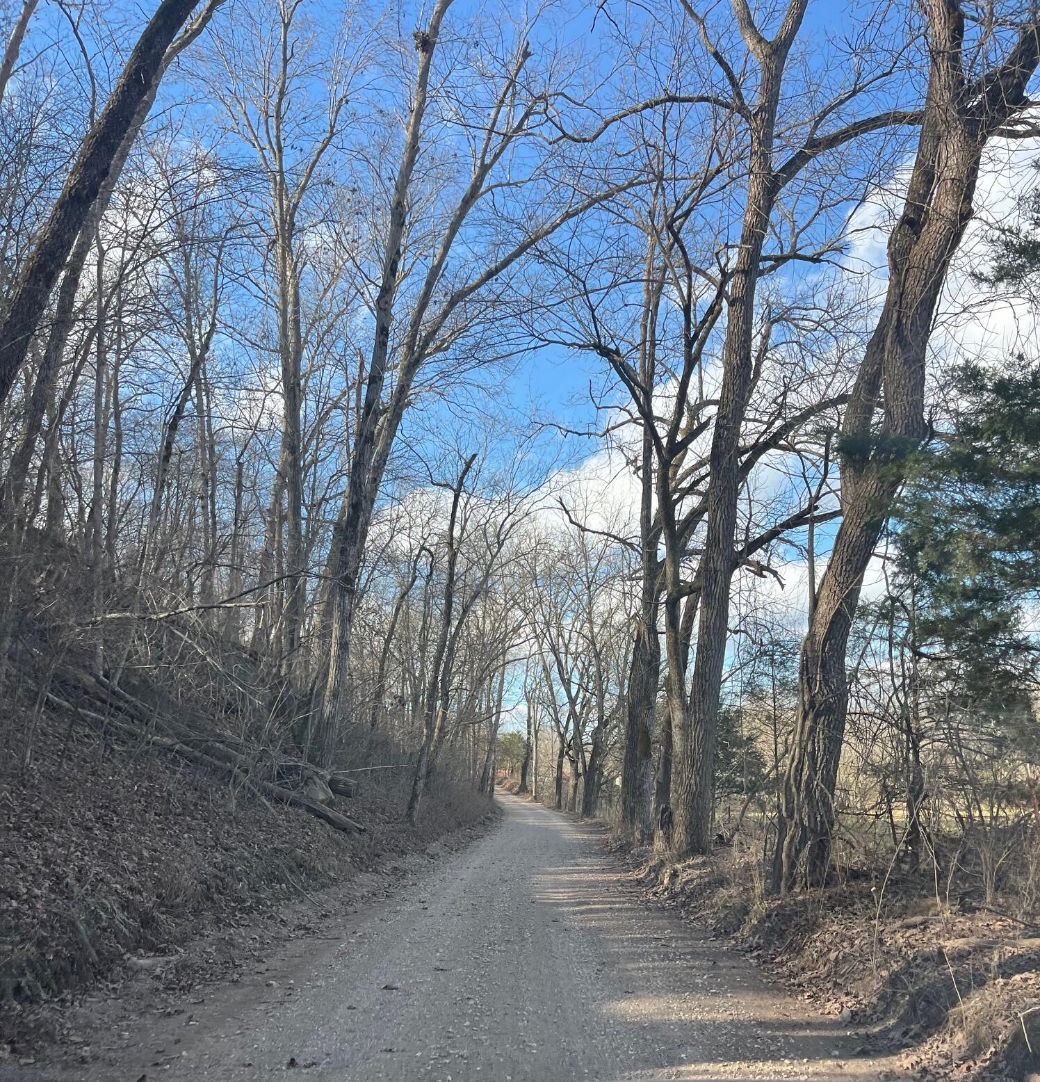 Photo 80 - Land for sale – 615  Thomas Hollow Road  Rocky Comfort, MO