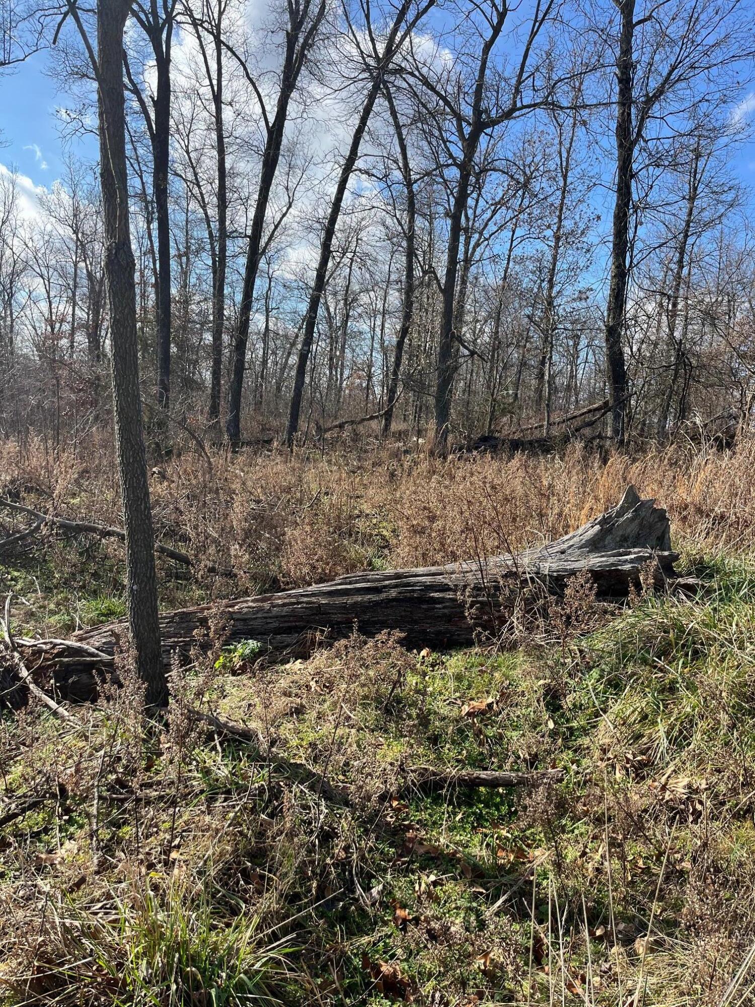 Photo 29 - Land for sale – 615  Thomas Hollow Road  Rocky Comfort, MO