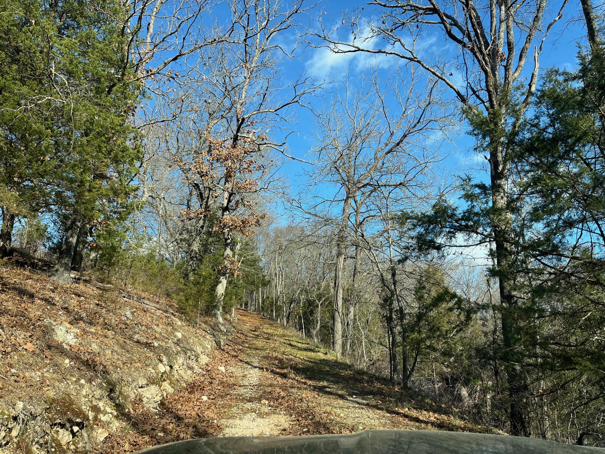 Photo 47 - Land for sale – 615  Thomas Hollow Road  Rocky Comfort, MO