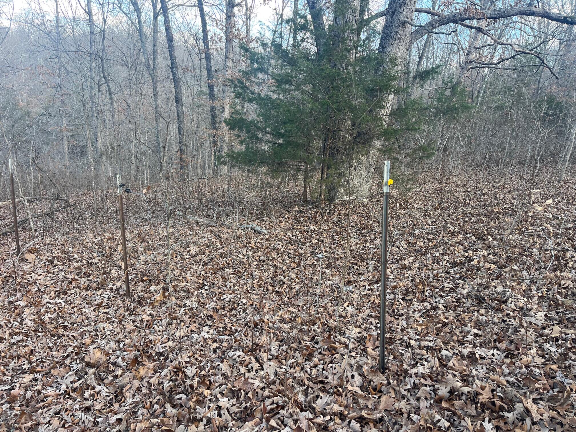 Photo 34 - Land for sale – 615  Thomas Hollow Road  Rocky Comfort, MO