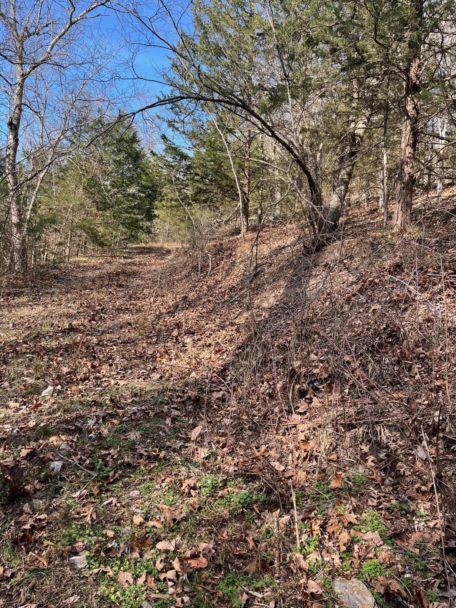 Photo 39 - Land for sale – 615  Thomas Hollow Road  Rocky Comfort, MO