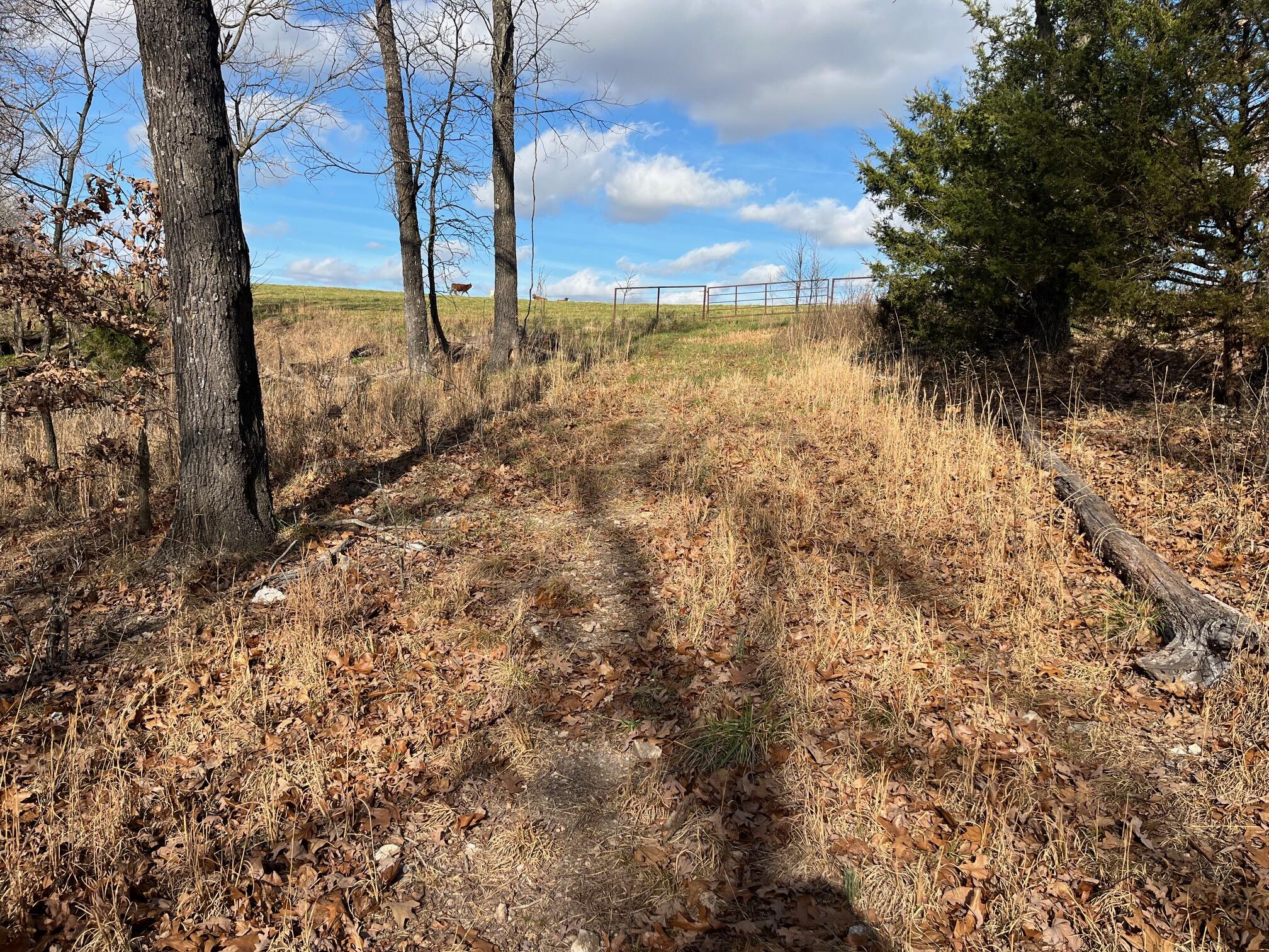 Photo 37 - Land for sale – 615  Thomas Hollow Road  Rocky Comfort, MO