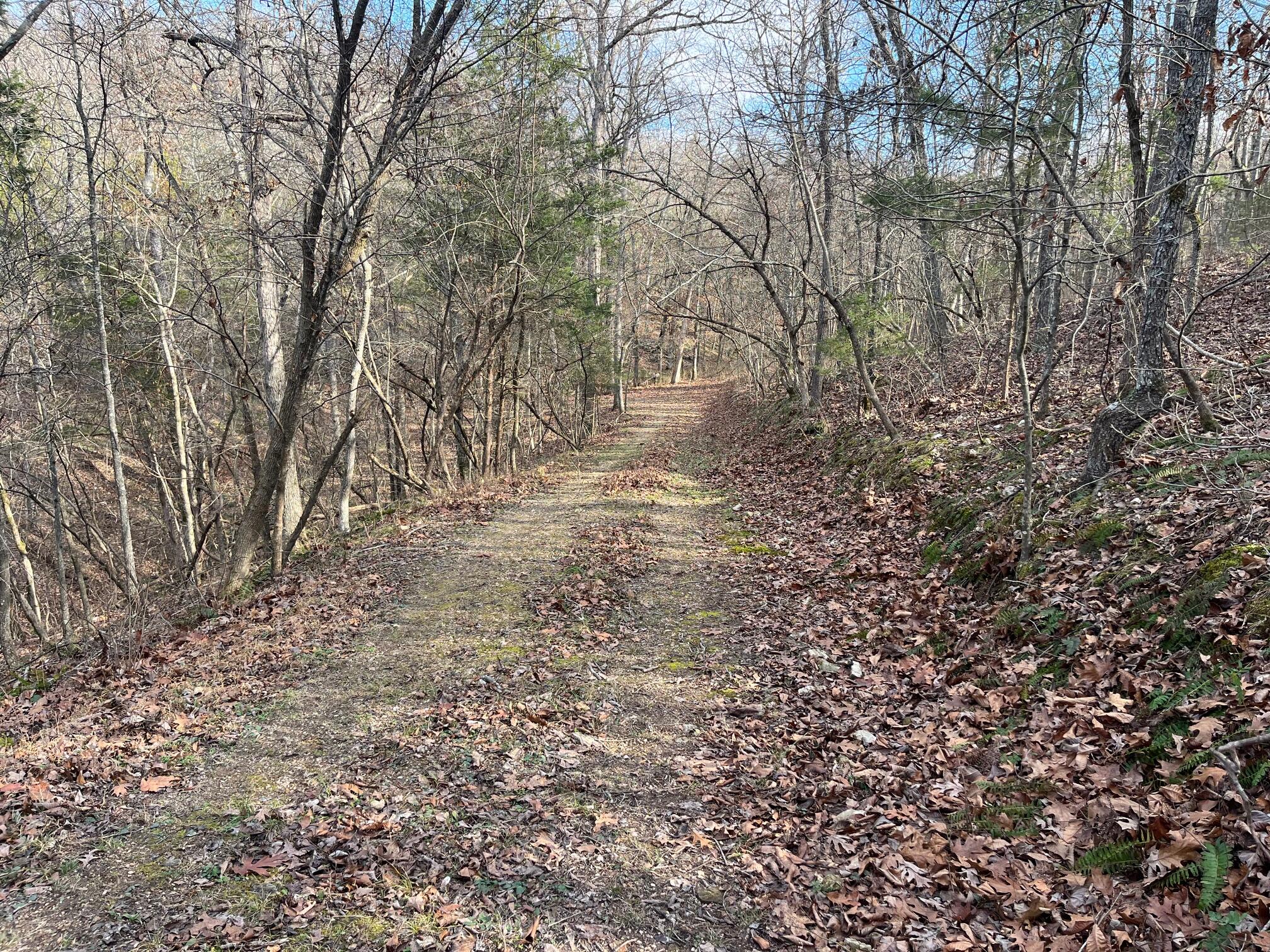 Photo 31 - Land for sale – 615  Thomas Hollow Road  Rocky Comfort, MO