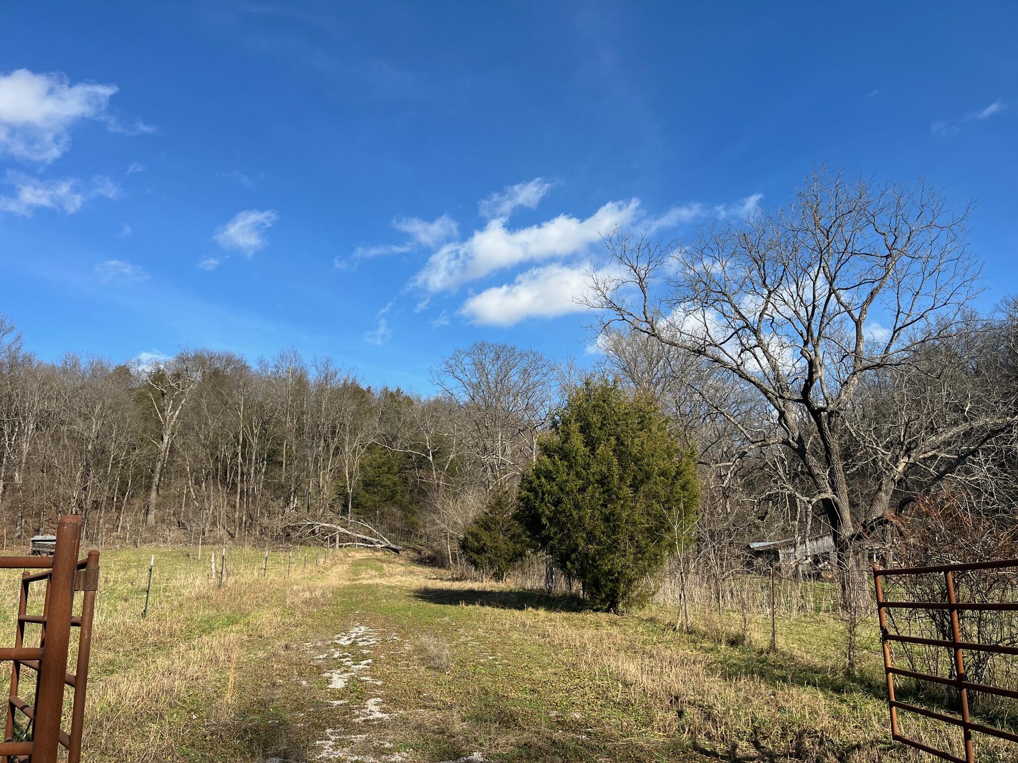 Photo 4 - Land for sale – 615  Thomas Hollow Road  Rocky Comfort, MO