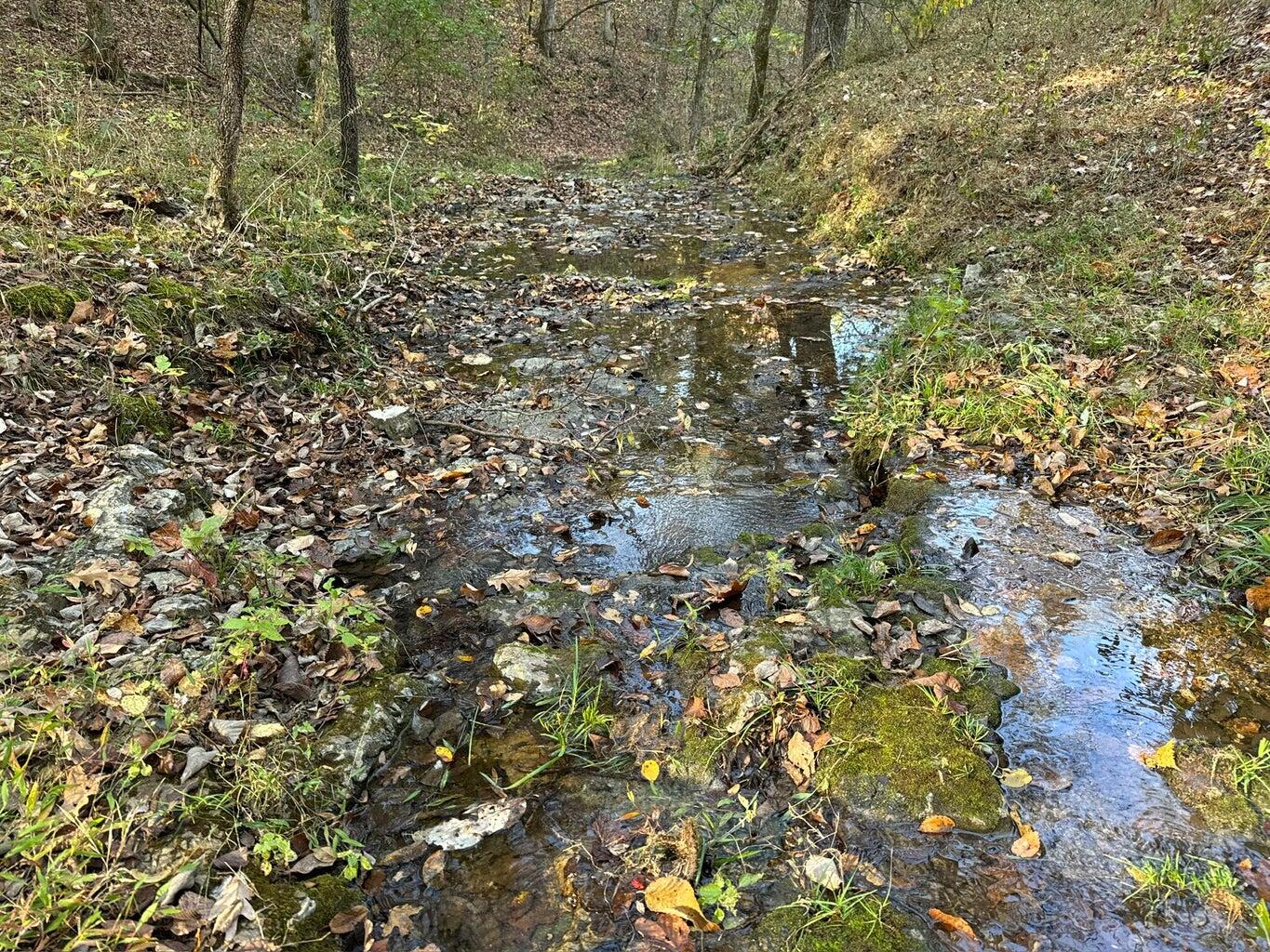 Photo 10 - Land for sale – 615  Thomas Hollow Road  Rocky Comfort, MO