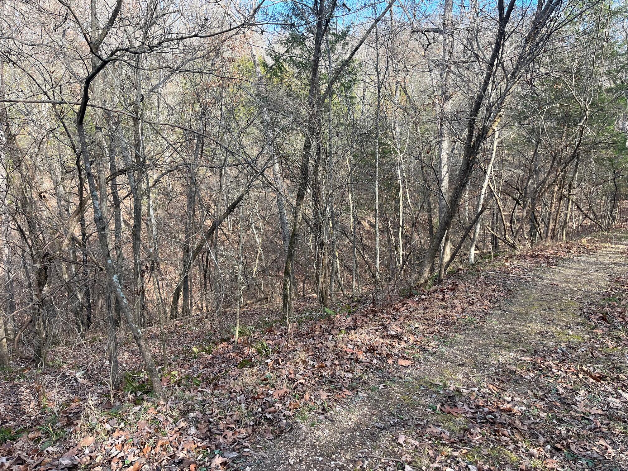 Photo 6 - Land for sale – 615  Thomas Hollow Road  Rocky Comfort, MO