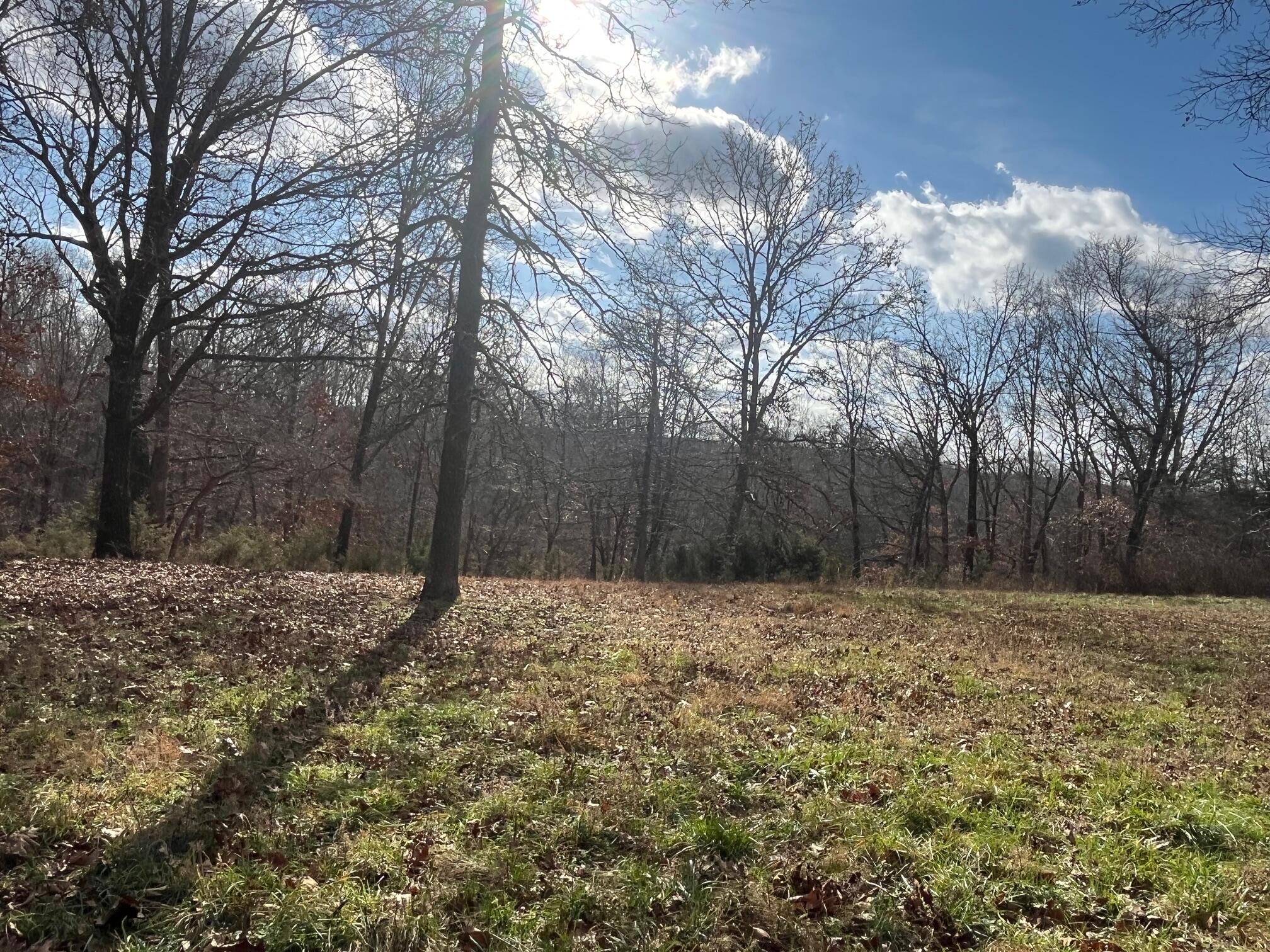 Photo 19 - Land for sale – 615  Thomas Hollow Road  Rocky Comfort, MO